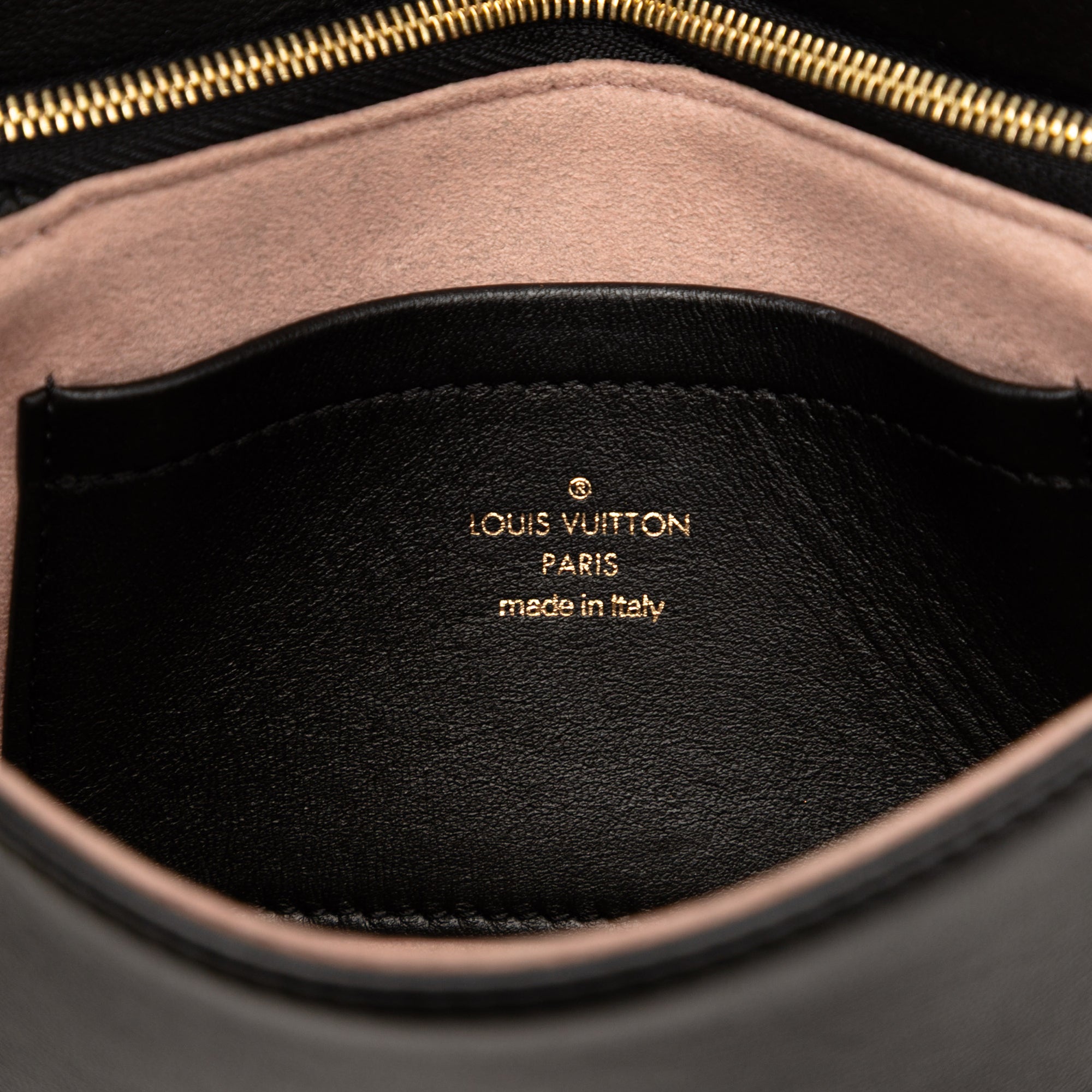 Louis Vuitton Monogram Embossed Pochette Coussin - image 5