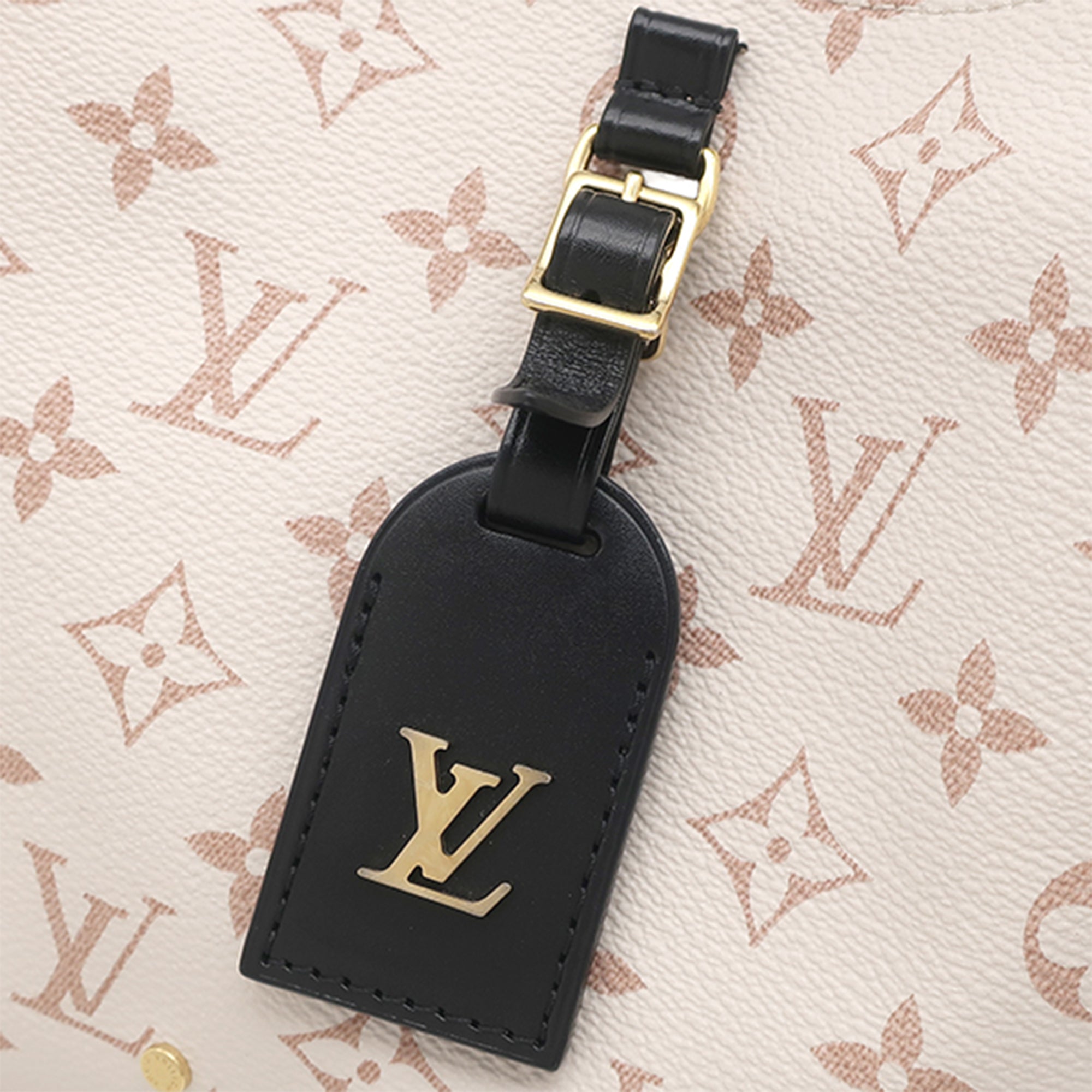Louis Vuitton Monogram Dune Atlantis GM - image 8