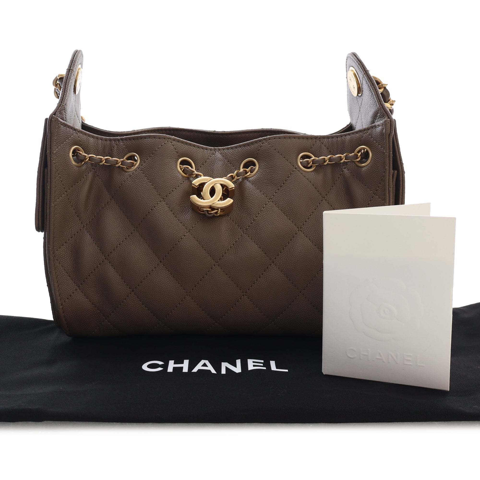 Chanel Mini Quilted Caviar Chanel 25 Hobo - image 15
