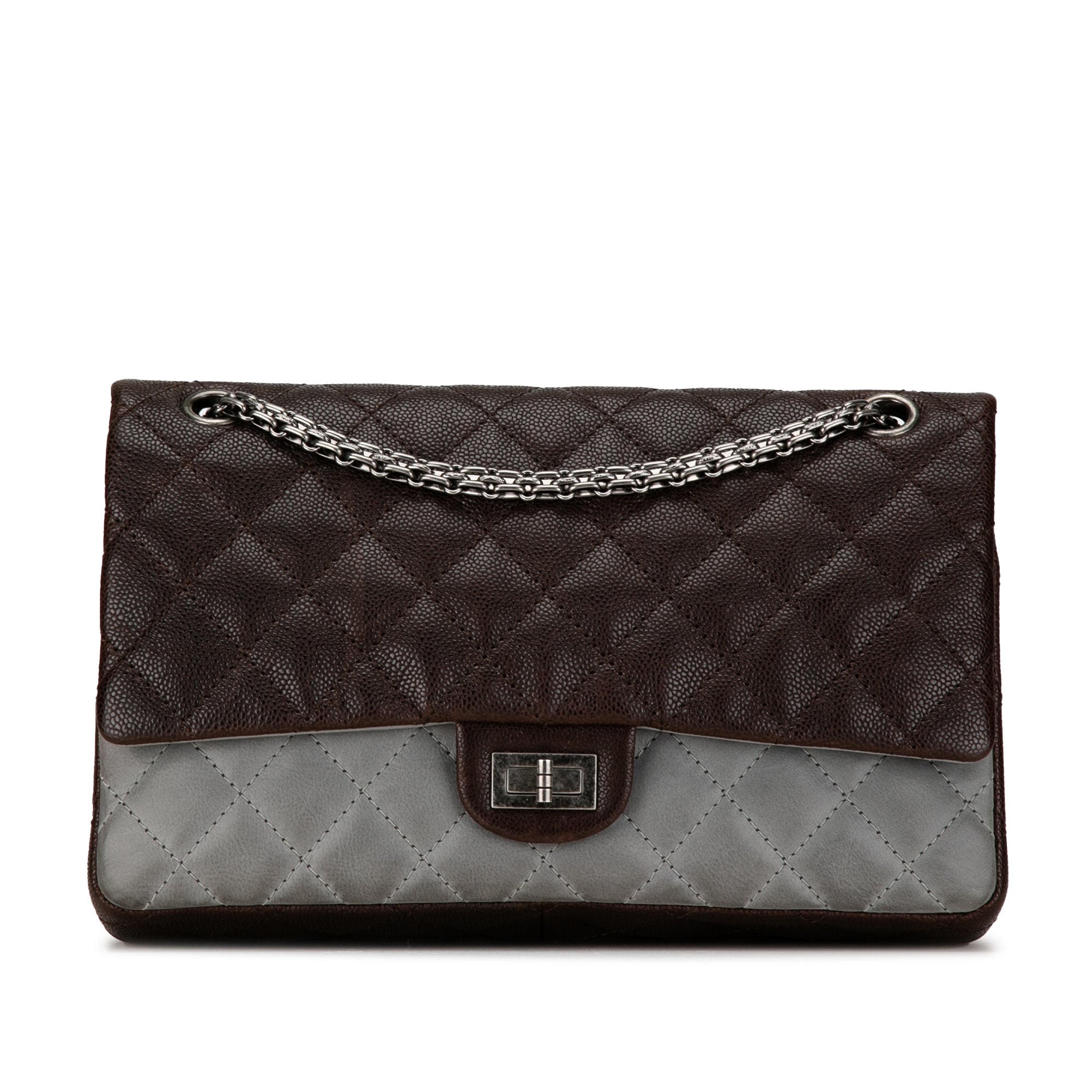 Chanel Bicolor Caviar and Iridescent Calfskin Reissue 2.55 Double Flap 226 - image 1