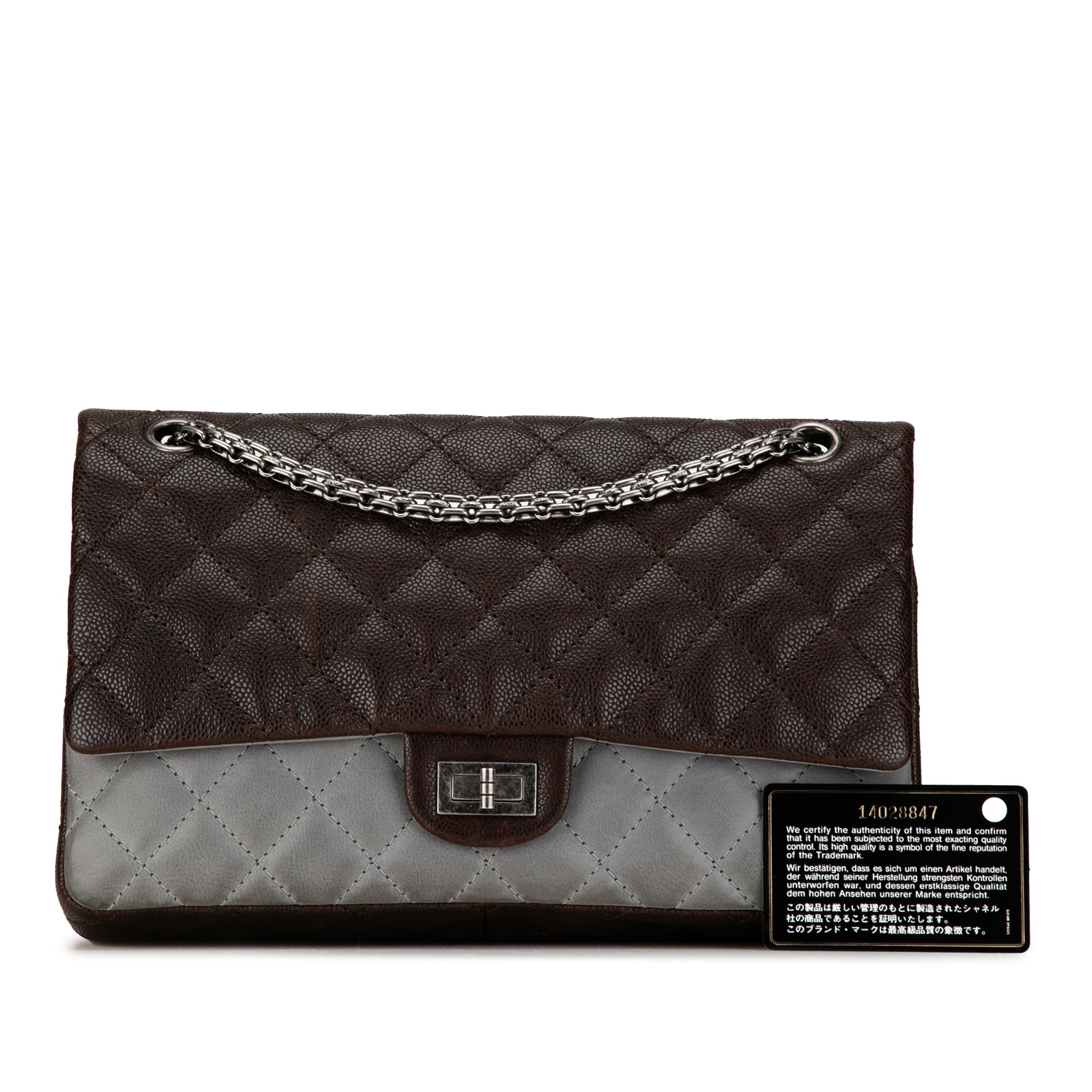 Chanel Bicolor Caviar and Iridescent Calfskin Reissue 2.55 Double Flap 226 - image 11