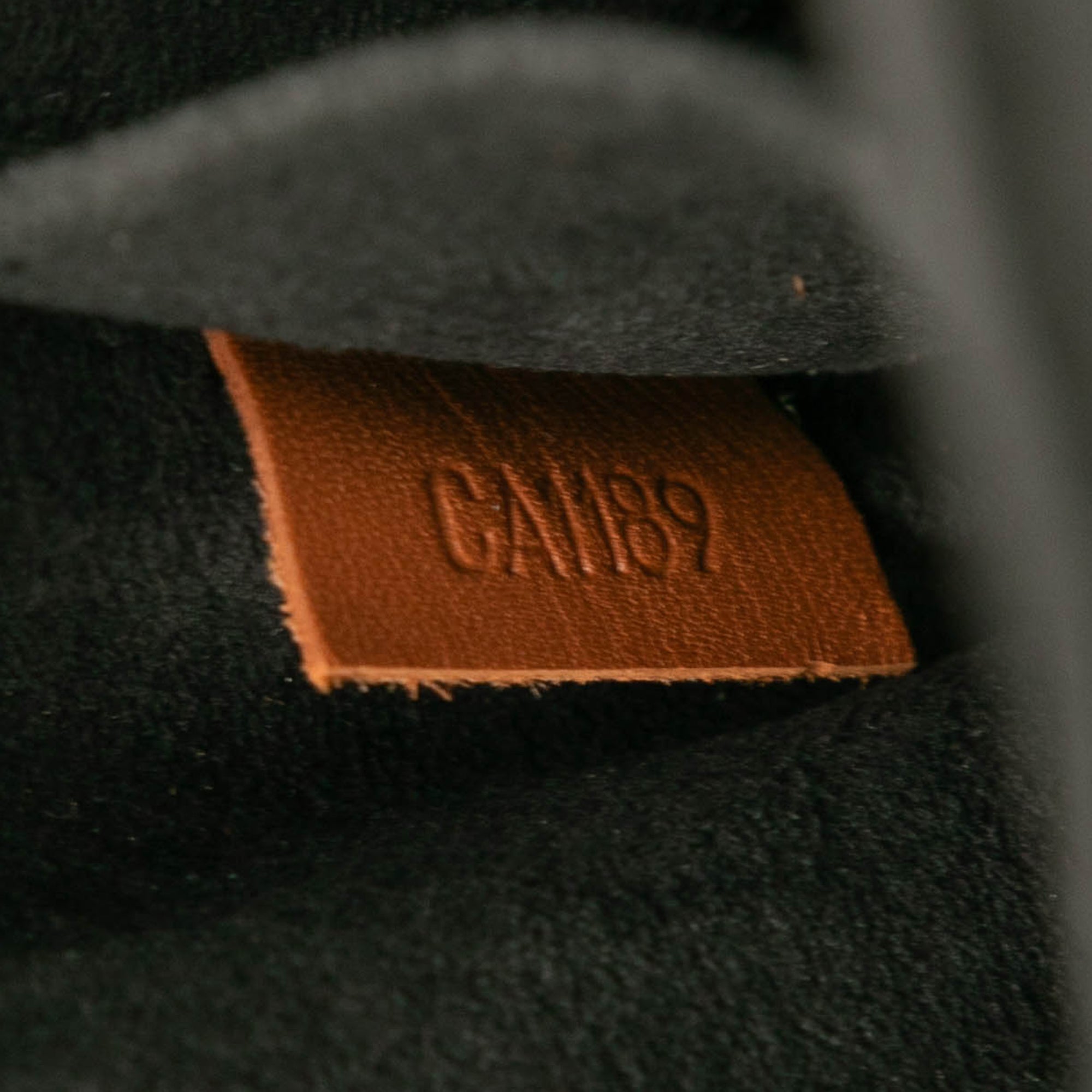 Louis Vuitton Monogram Reverse Dauphine MM - image 6
