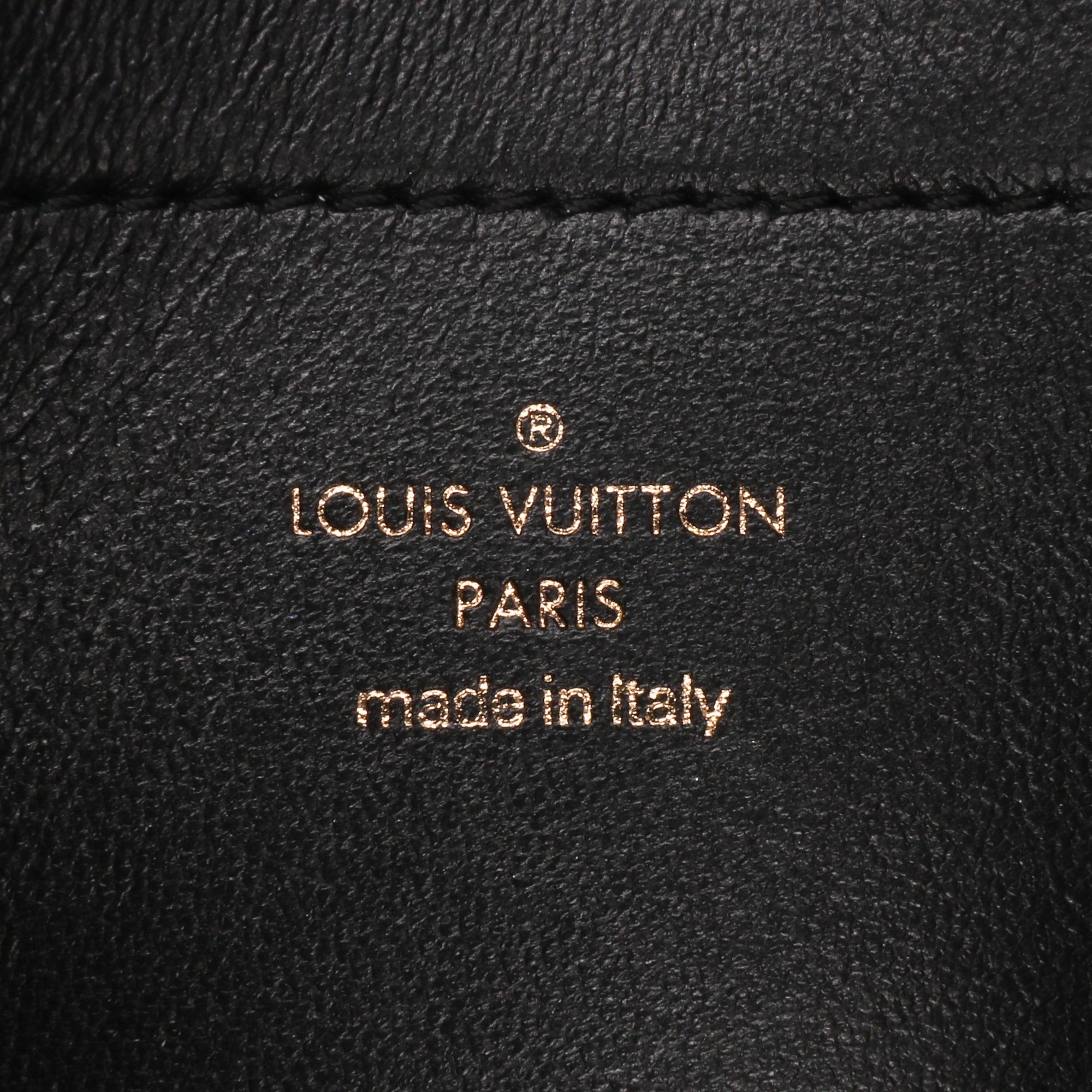 Louis Vuitton Monogram Embossed Pochette Coussin - image 7
