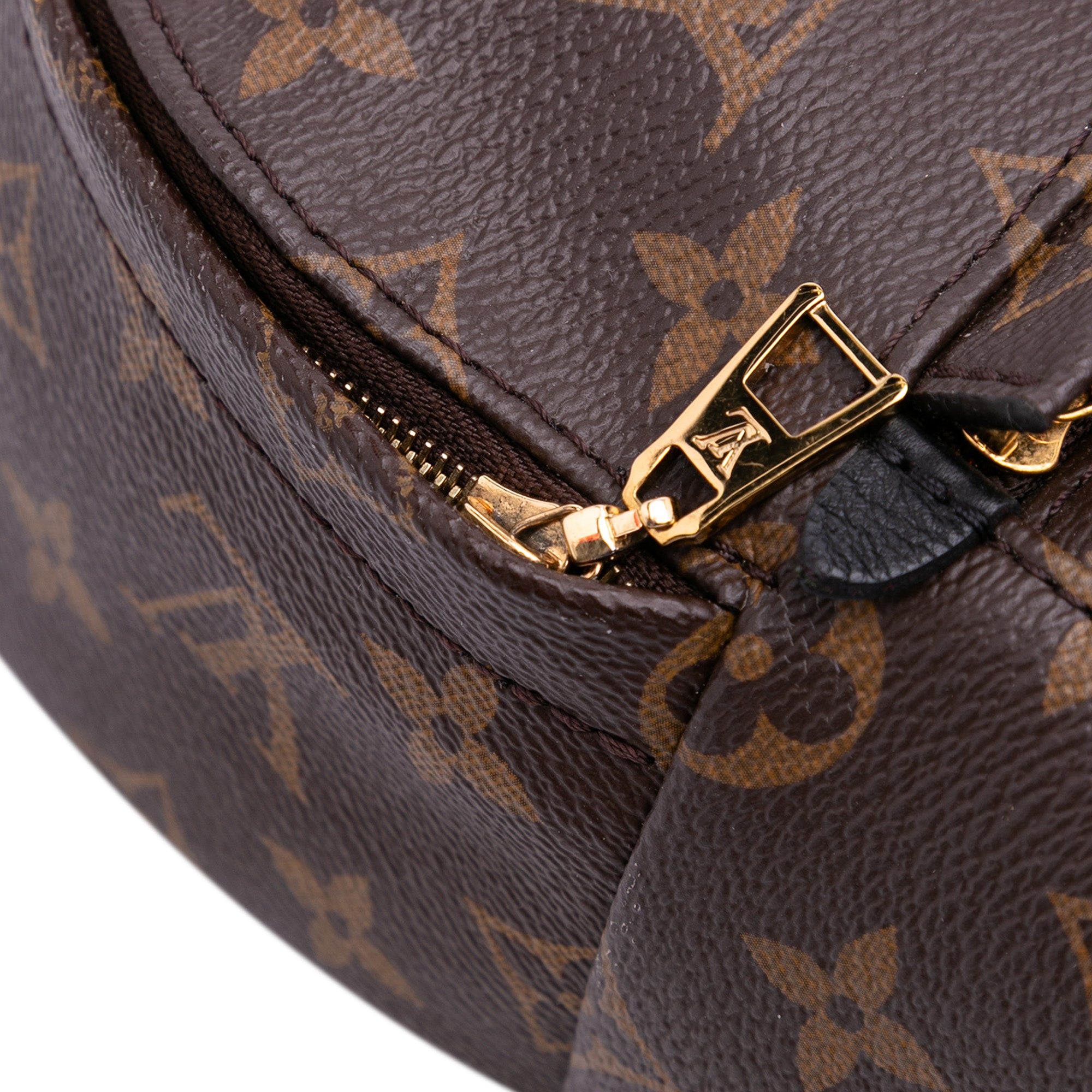Louis Vuitton Monogram Mini Palm Springs - image 6