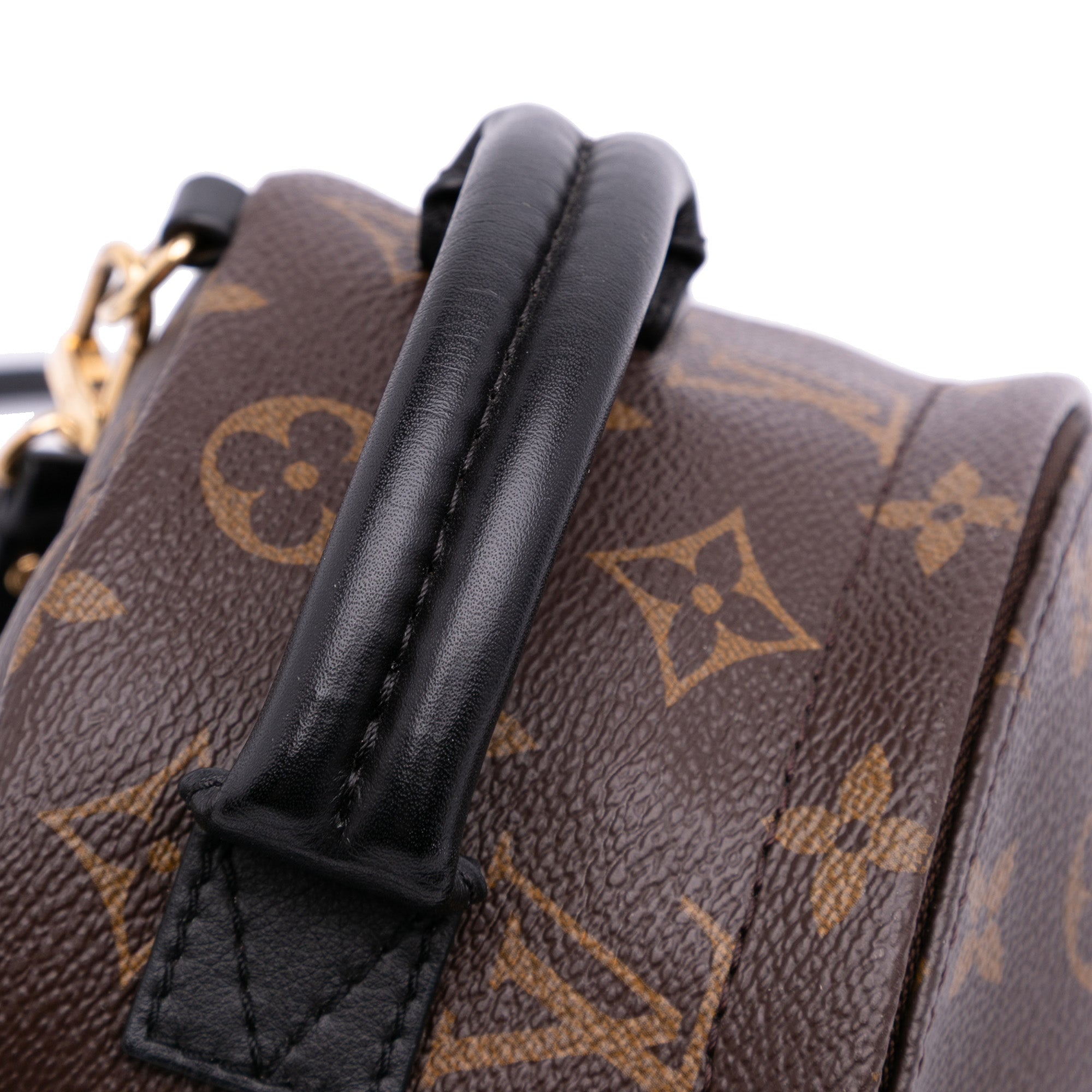 Louis Vuitton Monogram Mini Palm Springs - image 8