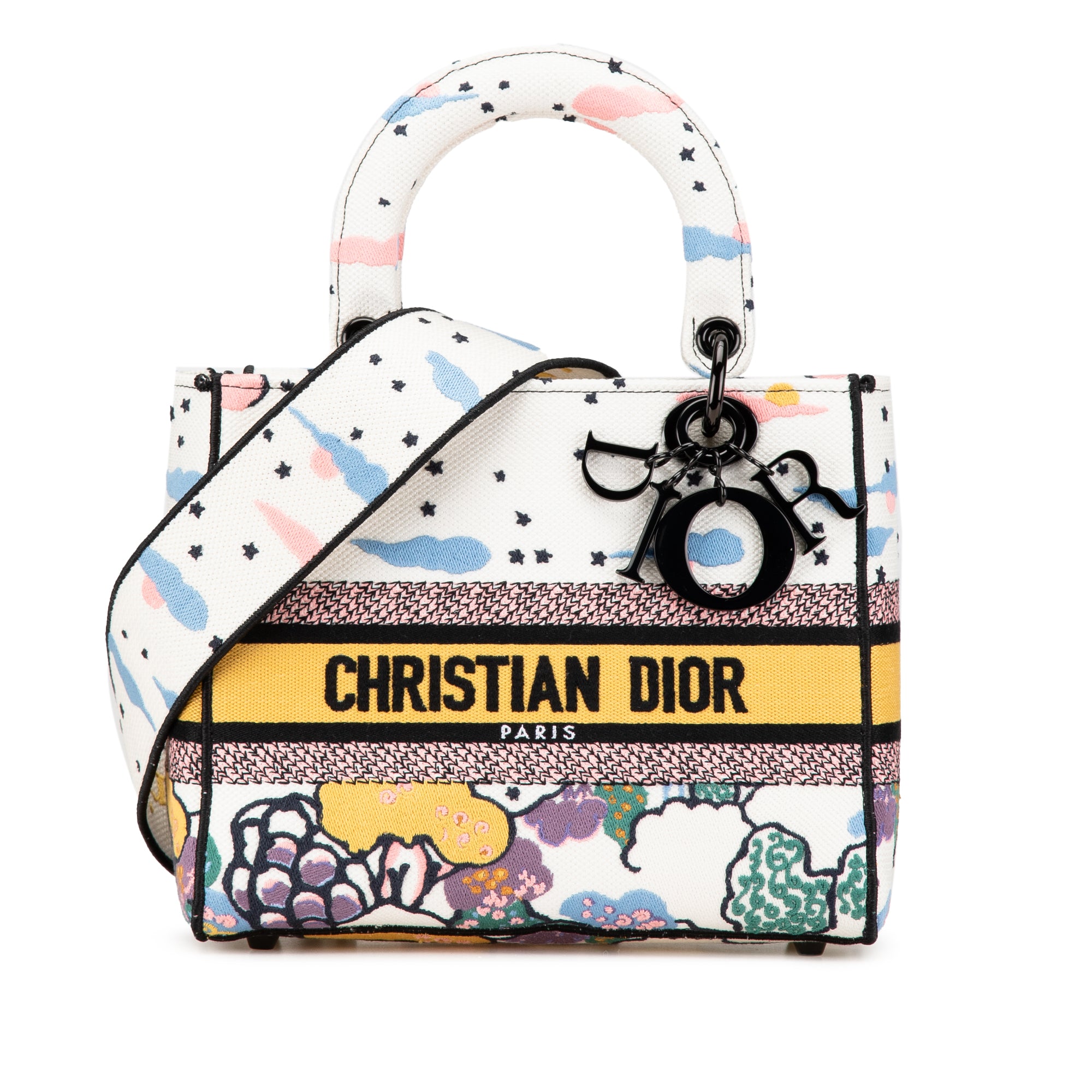 Dior Medium Embroidered Canvas Ciel De Reve Lady D Lite - image 1