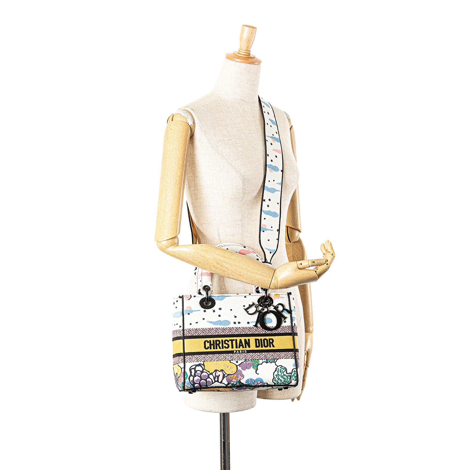 Dior Medium Embroidered Canvas Ciel De Reve Lady D Lite - image 12
