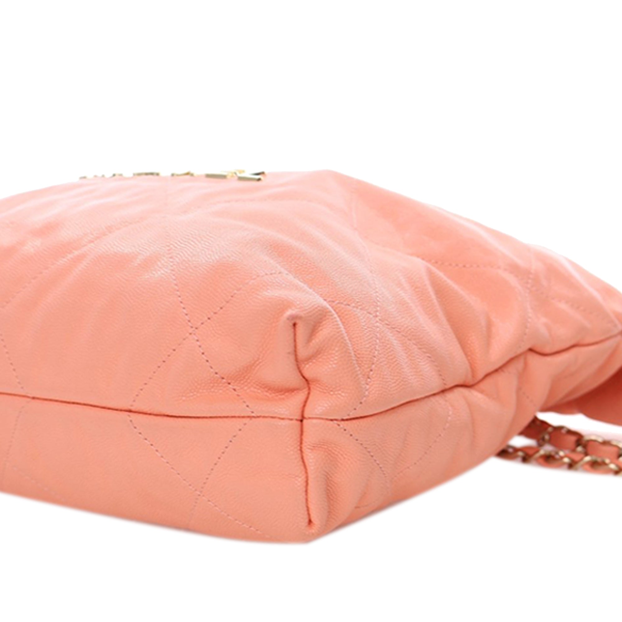 Chanel Small Quilted Caviar 22 Hobo - image 10