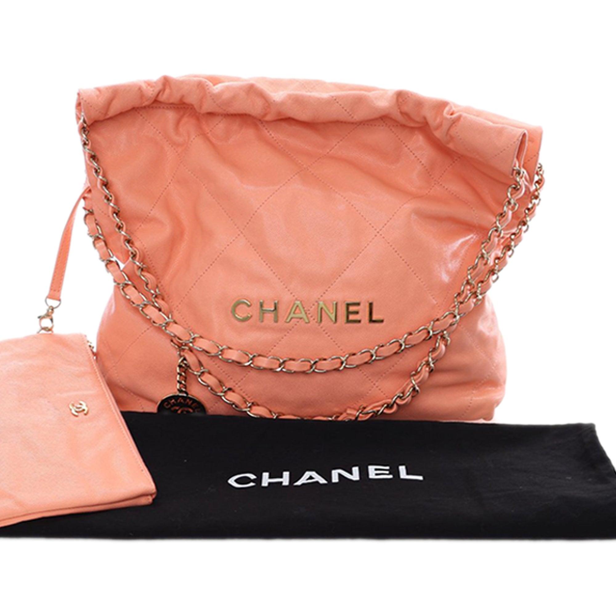 Chanel Small Quilted Caviar 22 Hobo - image 15