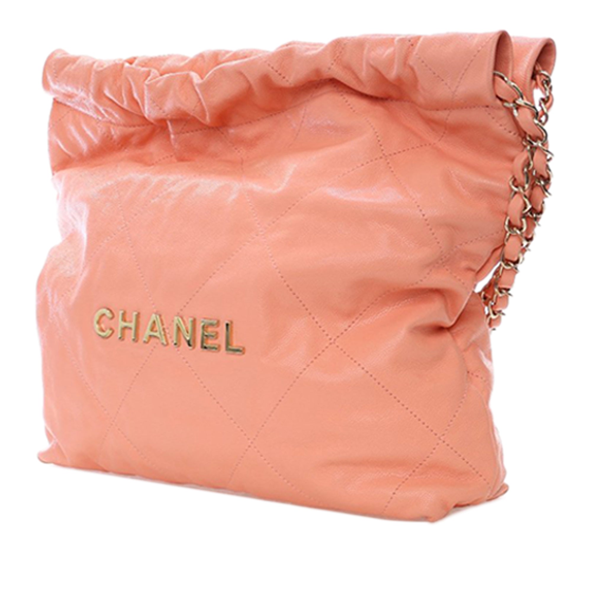 Chanel Small Quilted Caviar 22 Hobo - image 2