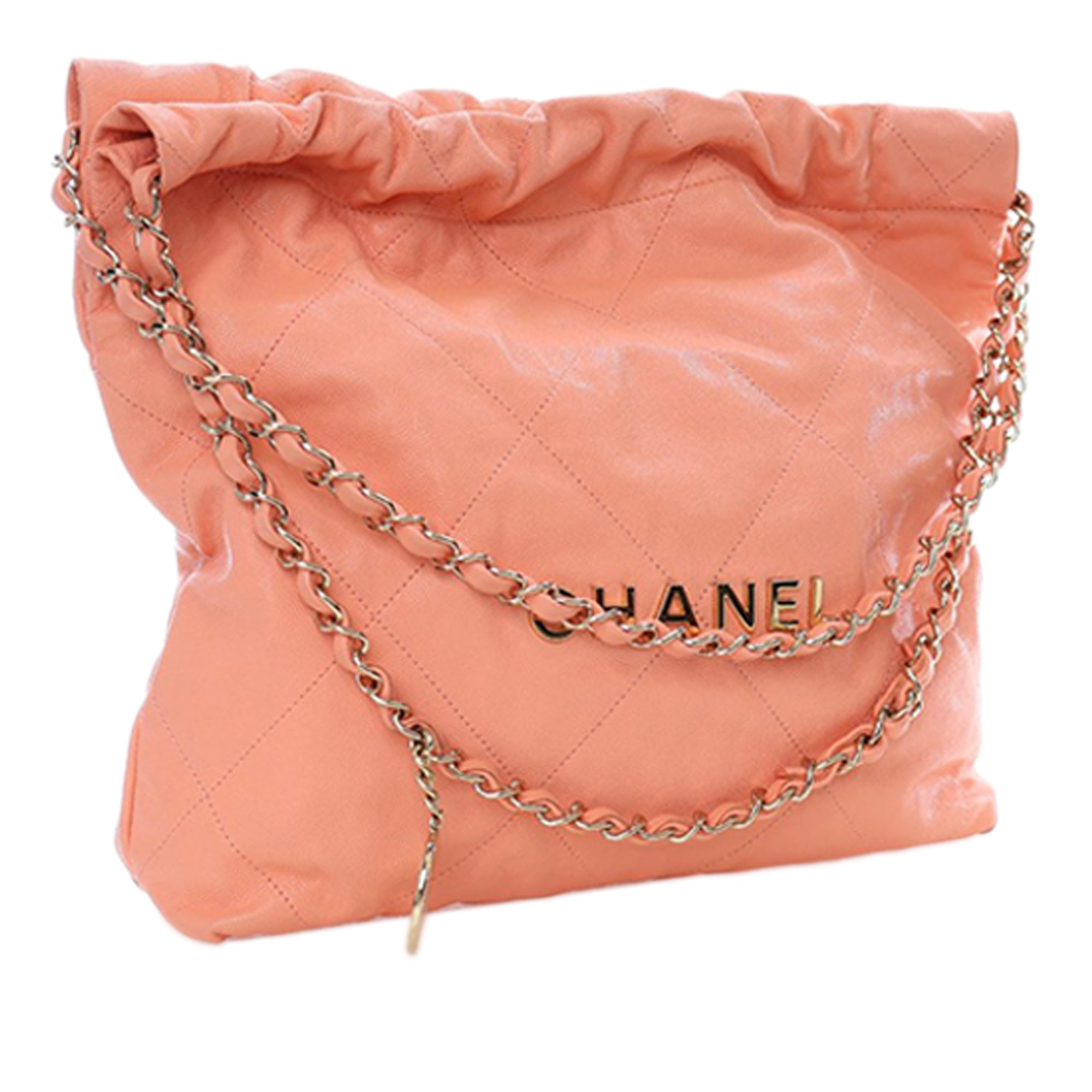 Chanel Small Quilted Caviar 22 Hobo - image 3