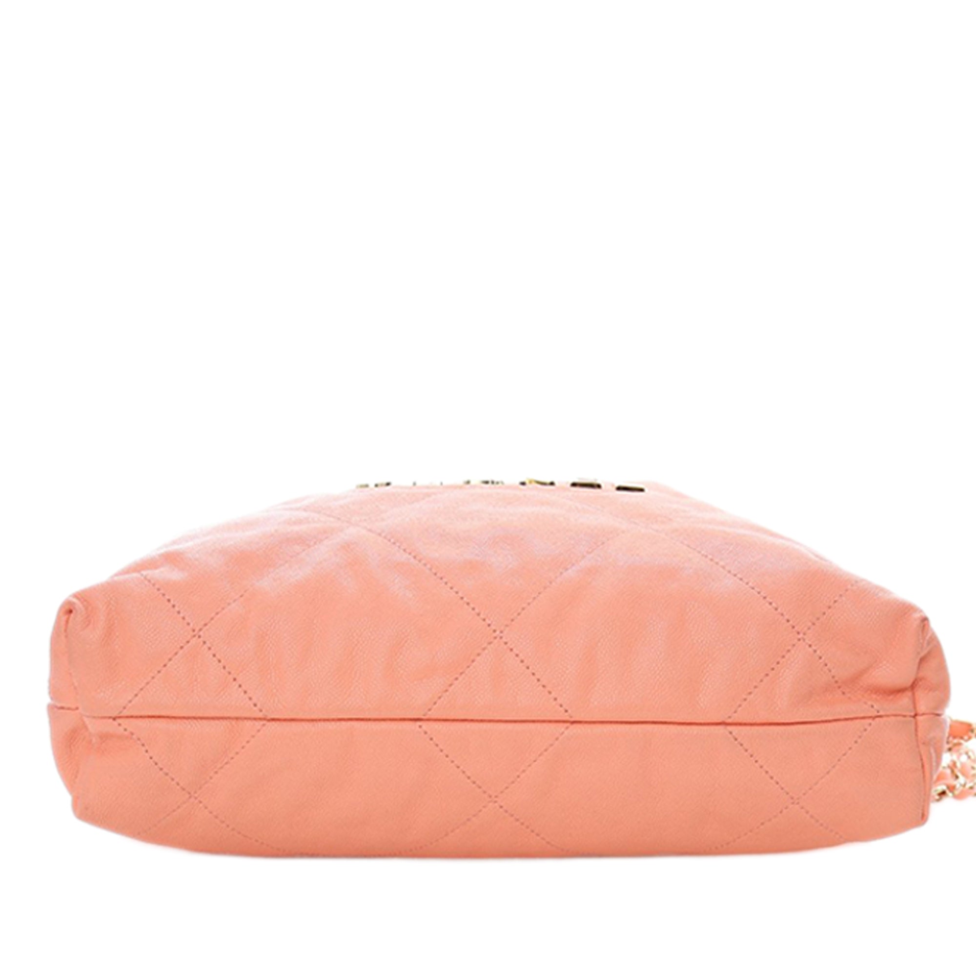 Chanel Small Quilted Caviar 22 Hobo - image 5
