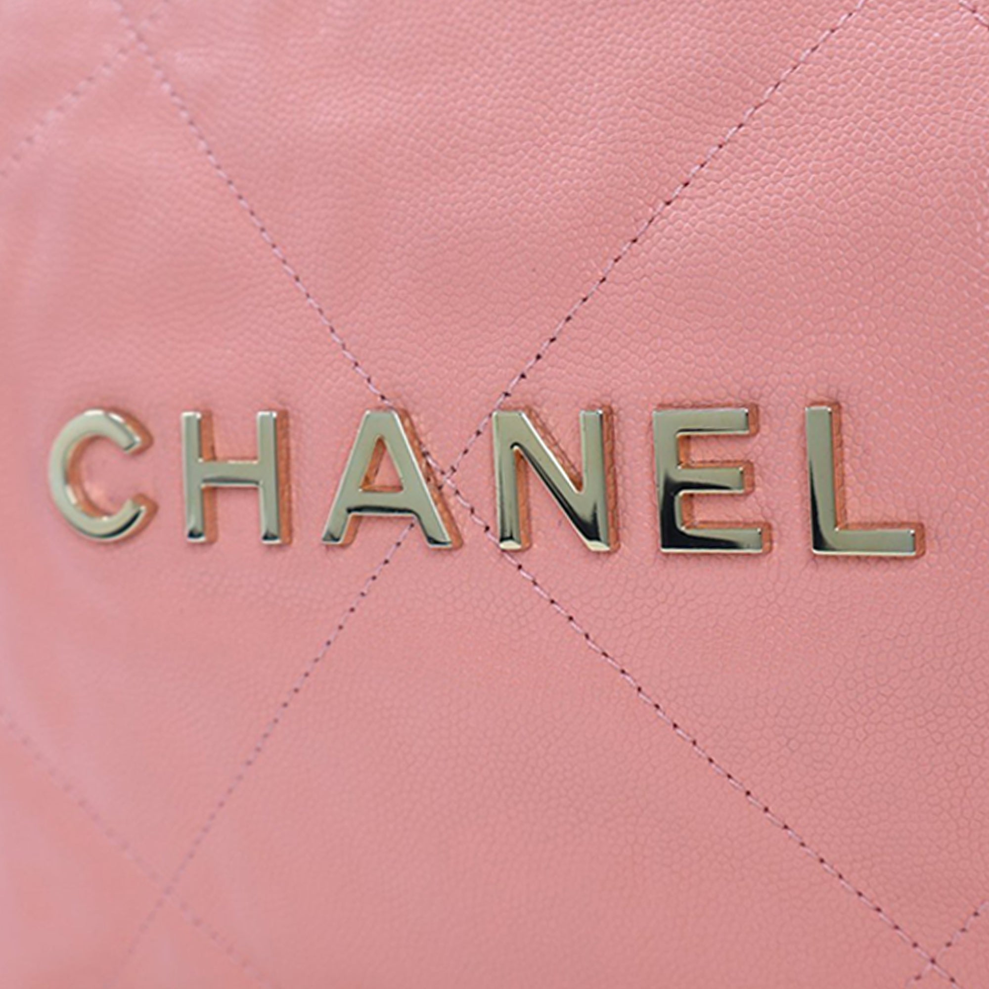 Chanel Small Quilted Caviar 22 Hobo - image 6
