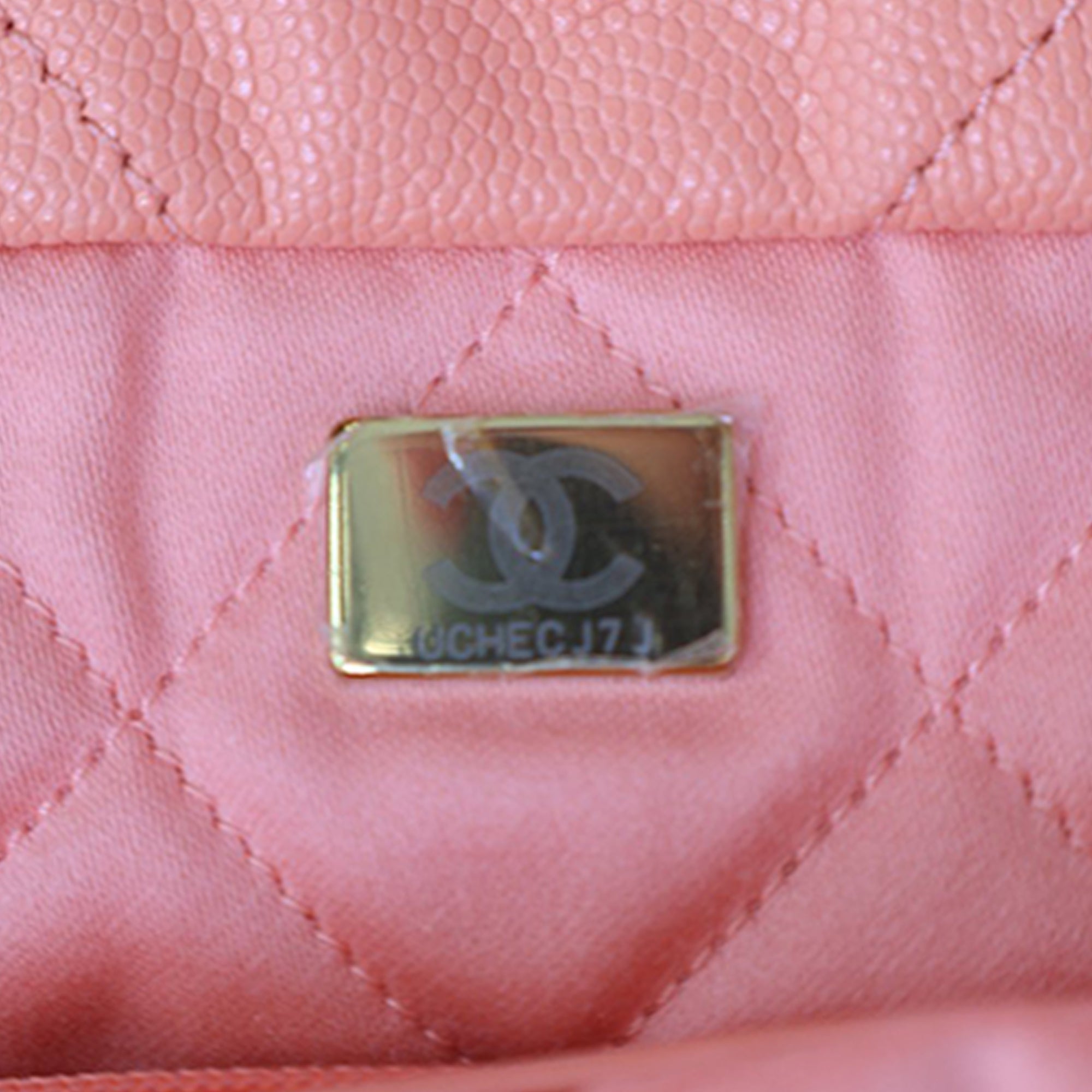 Chanel Small Quilted Caviar 22 Hobo - image 8