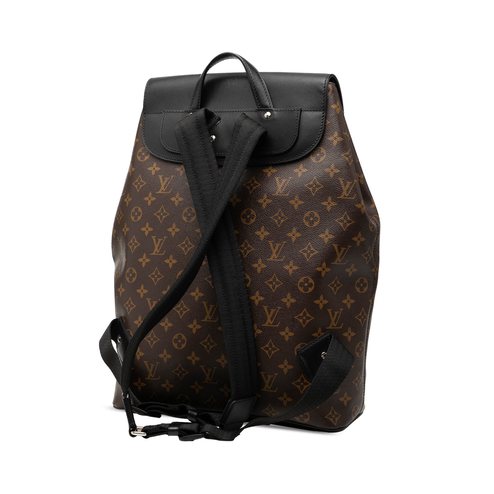 Louis Vuitton Monogram Macassar Palk Backpack - image 2