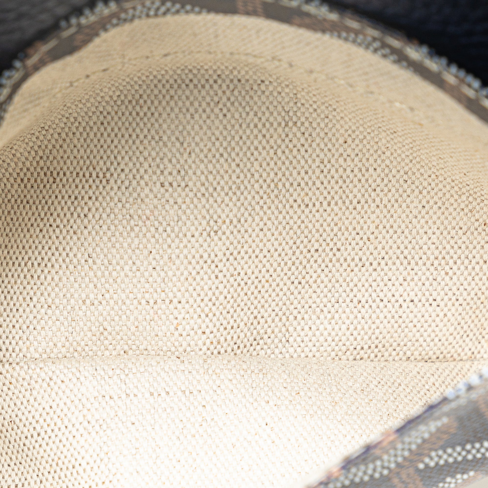 Goyard Goyardine Sac Hardy Pet Carrier PM - image 5