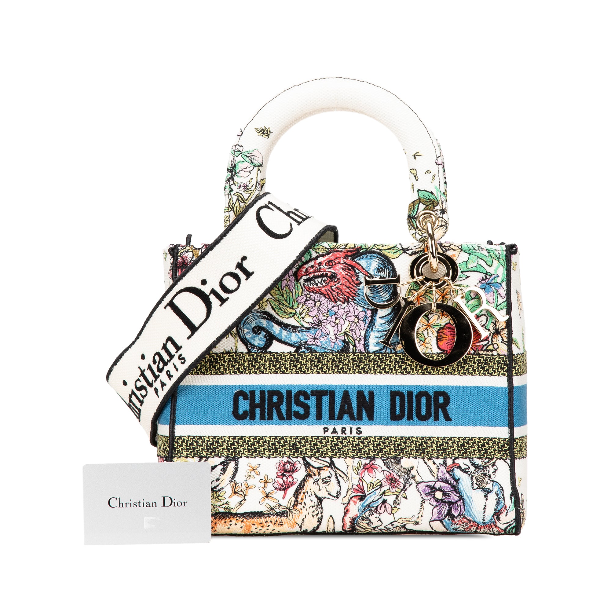 Dior Medium Embroidered Canvas D Constellation Lady D Lite - image 13