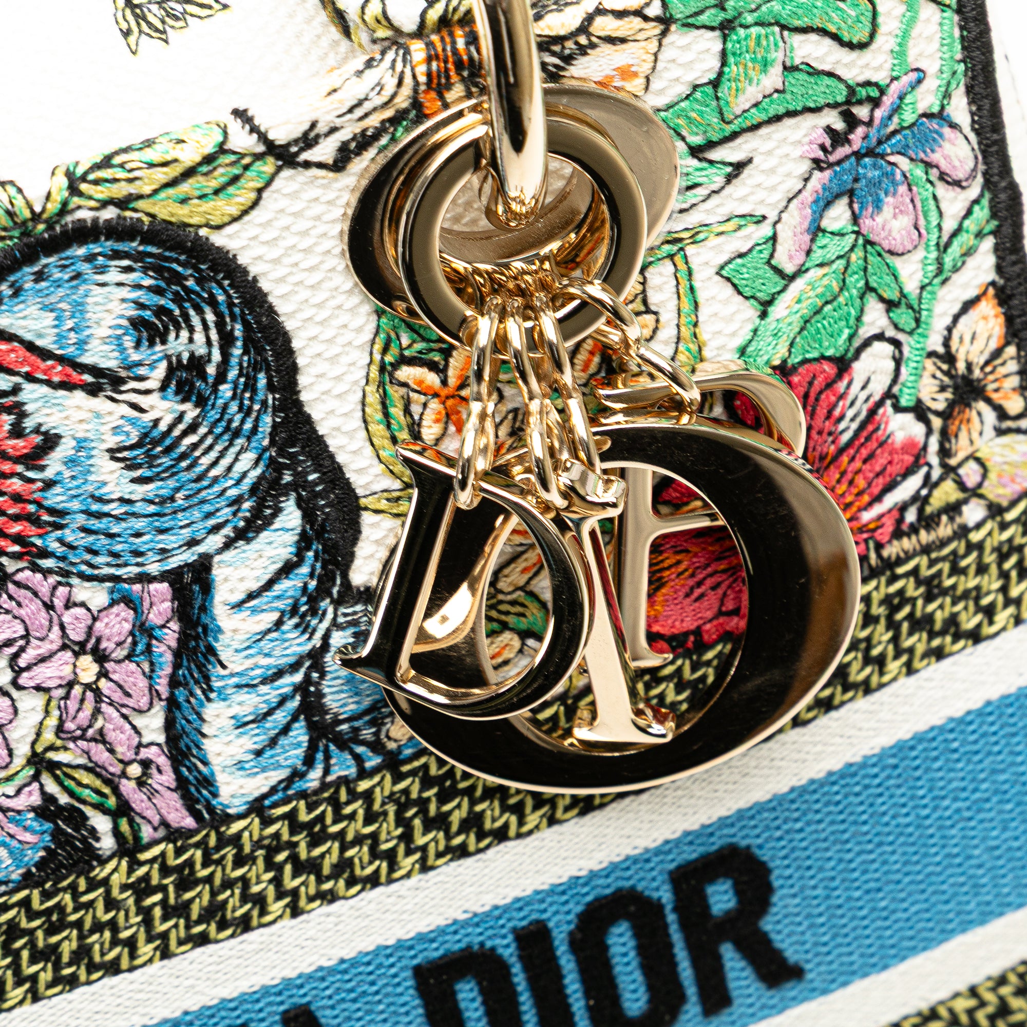 Dior Medium Embroidered Canvas D Constellation Lady D Lite - image 8