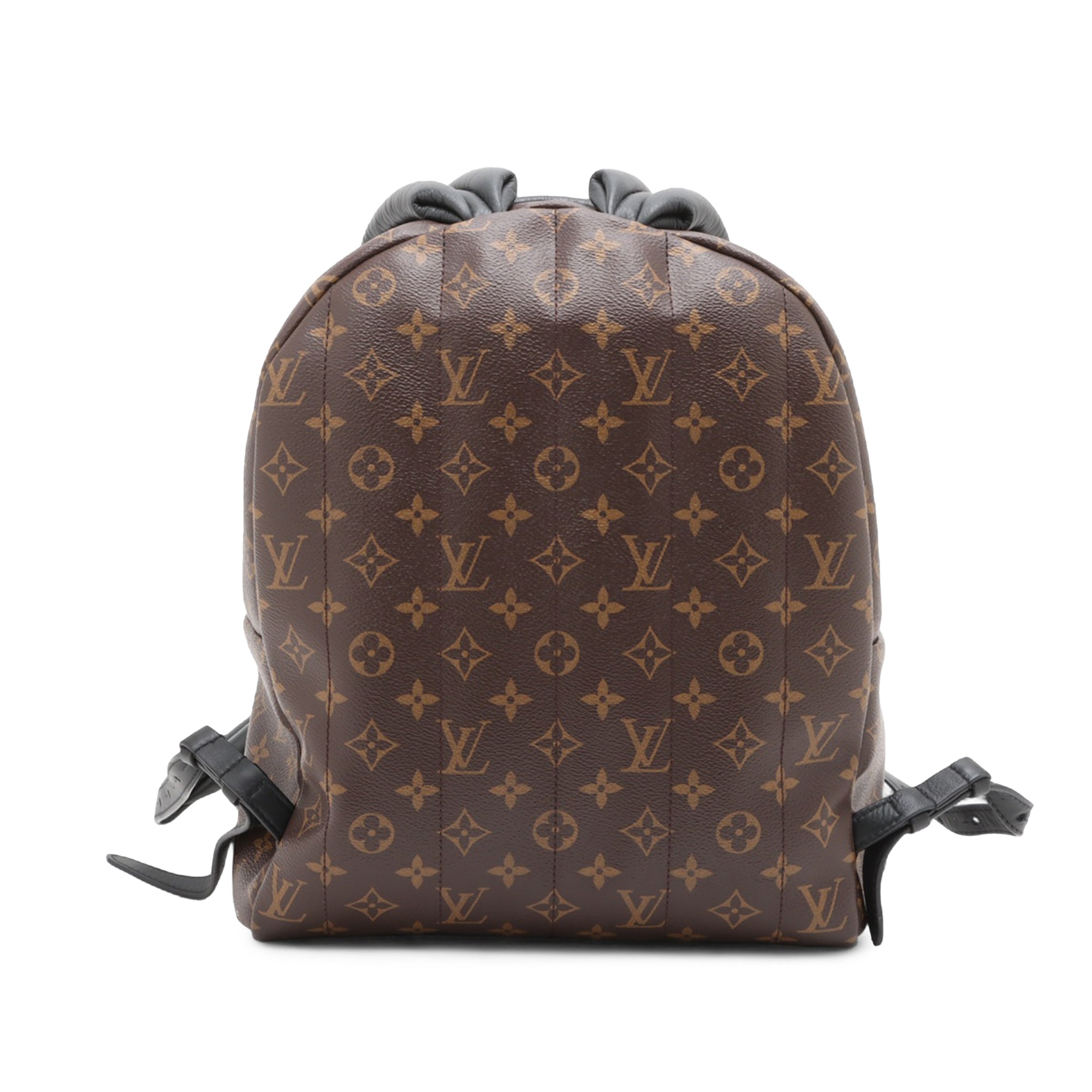 Louis Vuitton Monogram Palm Springs MM - image 2
