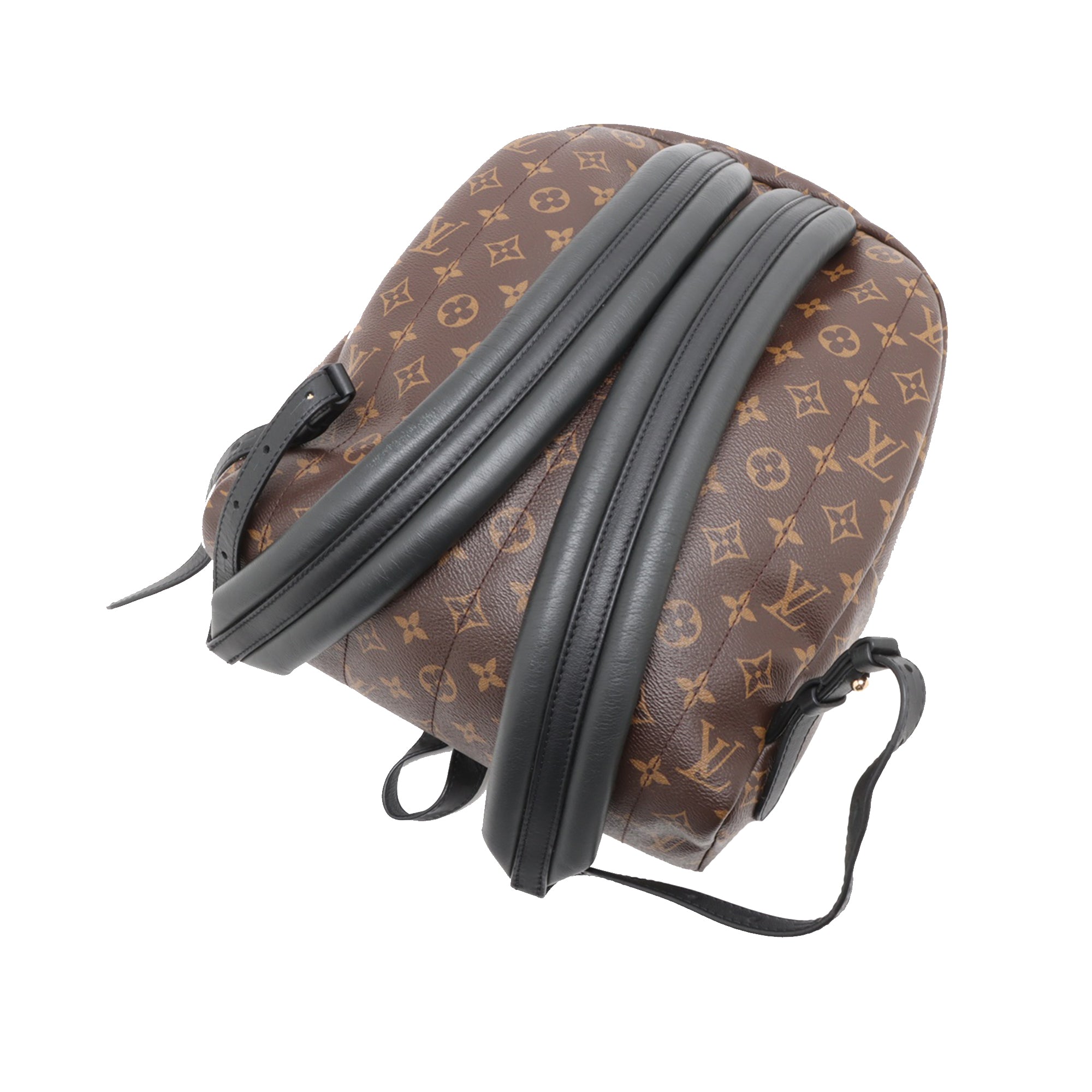 Louis Vuitton Monogram Palm Springs MM - image 3