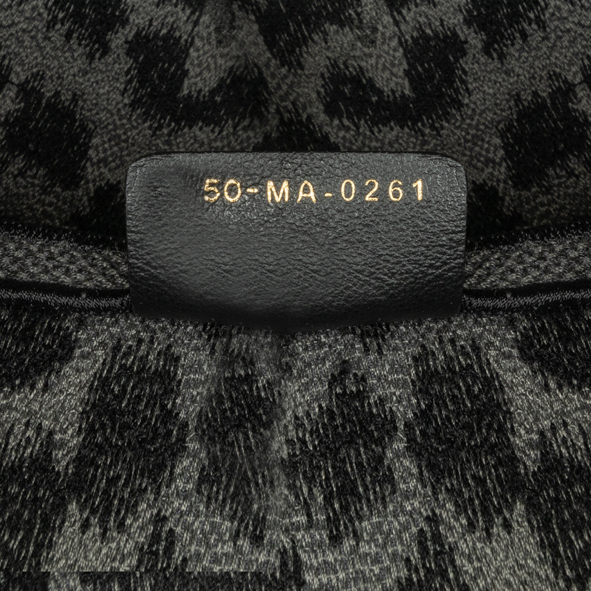 Dior Mizza Embroidered Canvas Leopard Saddle Bag - image 6