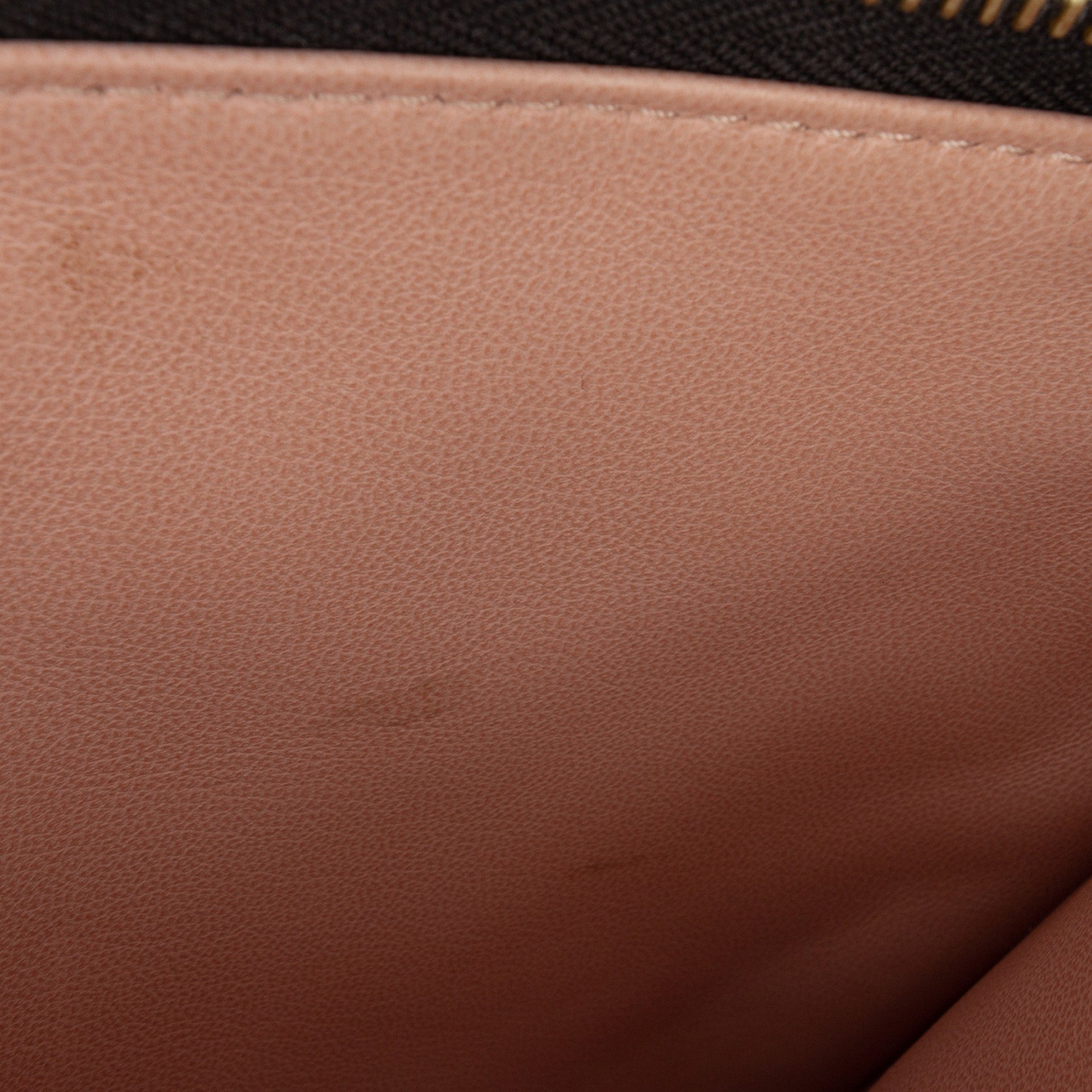 Louis Vuitton Monogram Embossed Puffy Lambskin Coussin PM - image 6