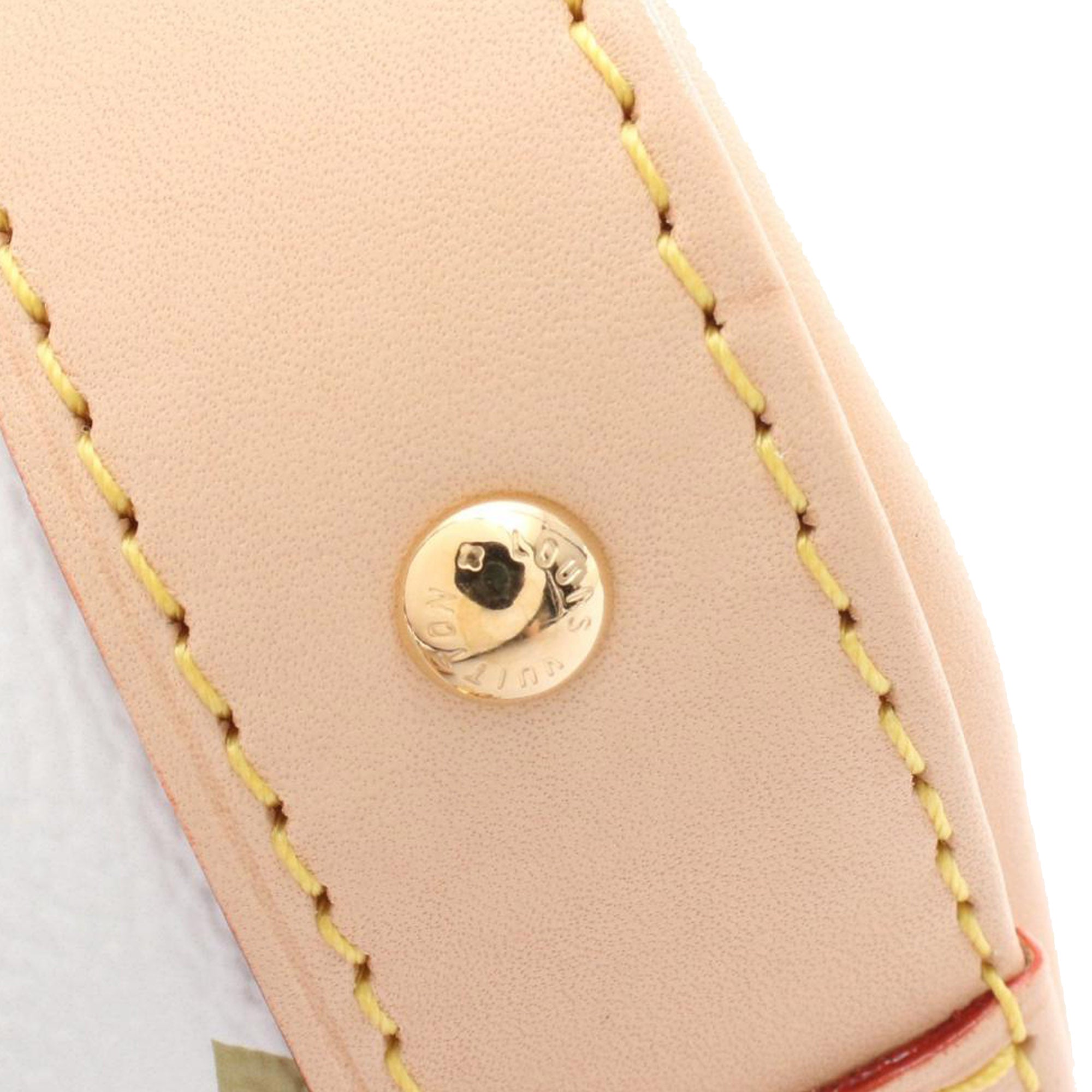Louis Vuitton Takashi Murakami Monogram Multicolore Alma BB - image 5