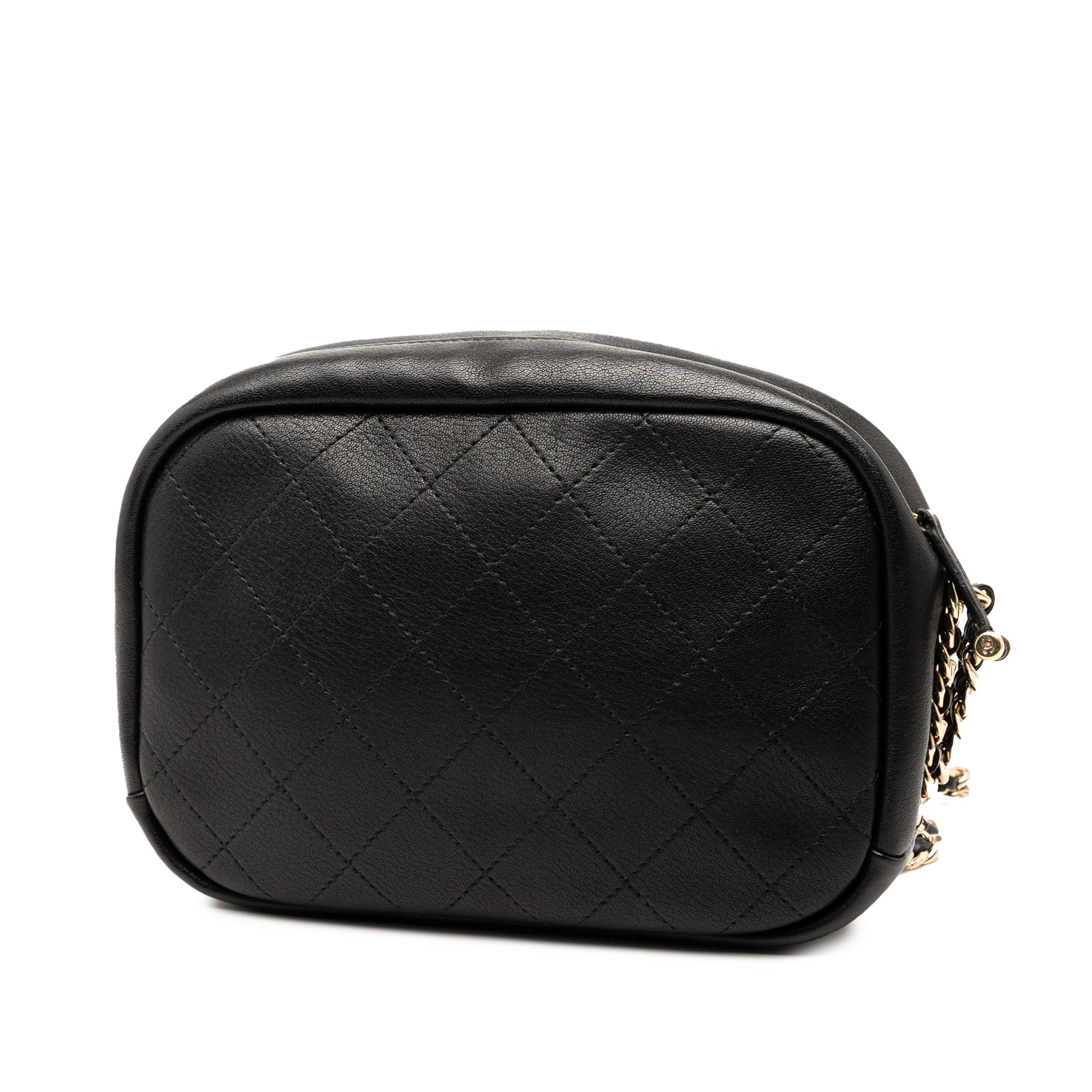 Chanel Medium Quilted Goatskin Casual Trip Camera Bag - image 2