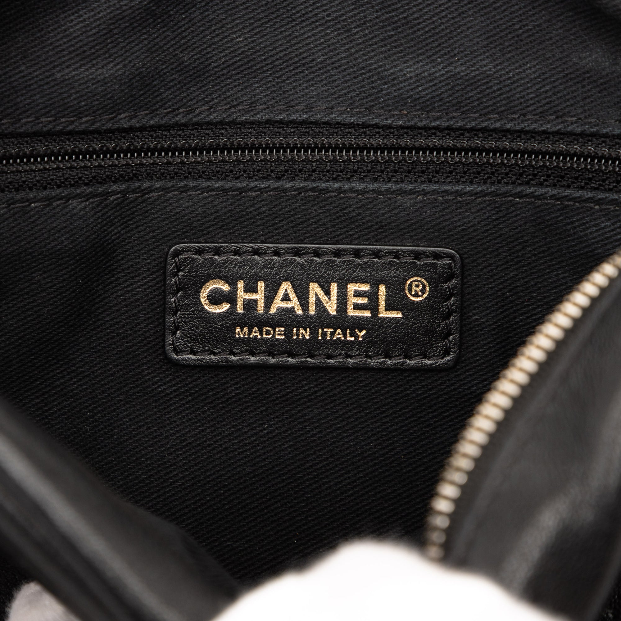 Chanel Medium Quilted Goatskin Casual Trip Camera Bag - image 5