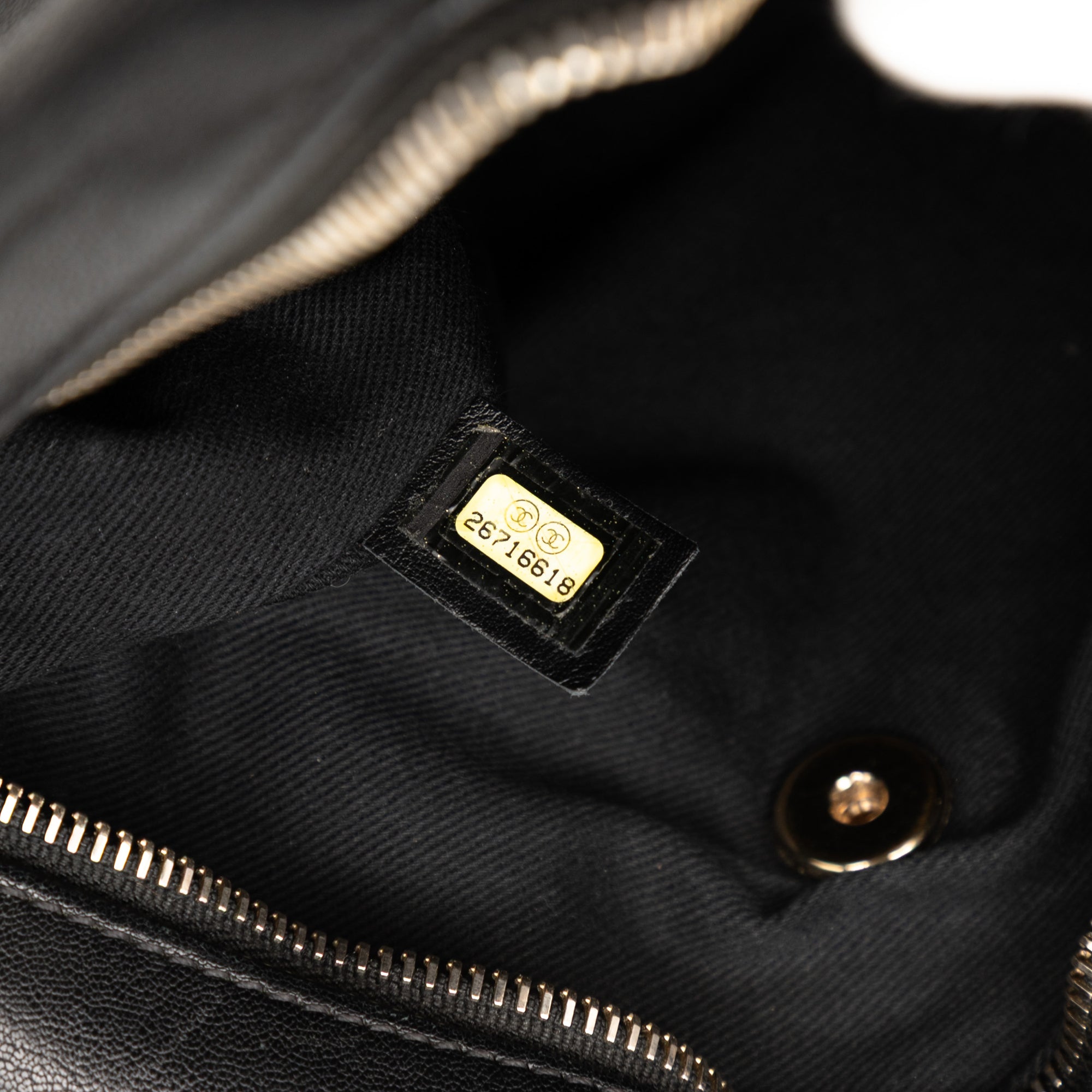 Chanel Medium Quilted Goatskin Casual Trip Camera Bag - image 6