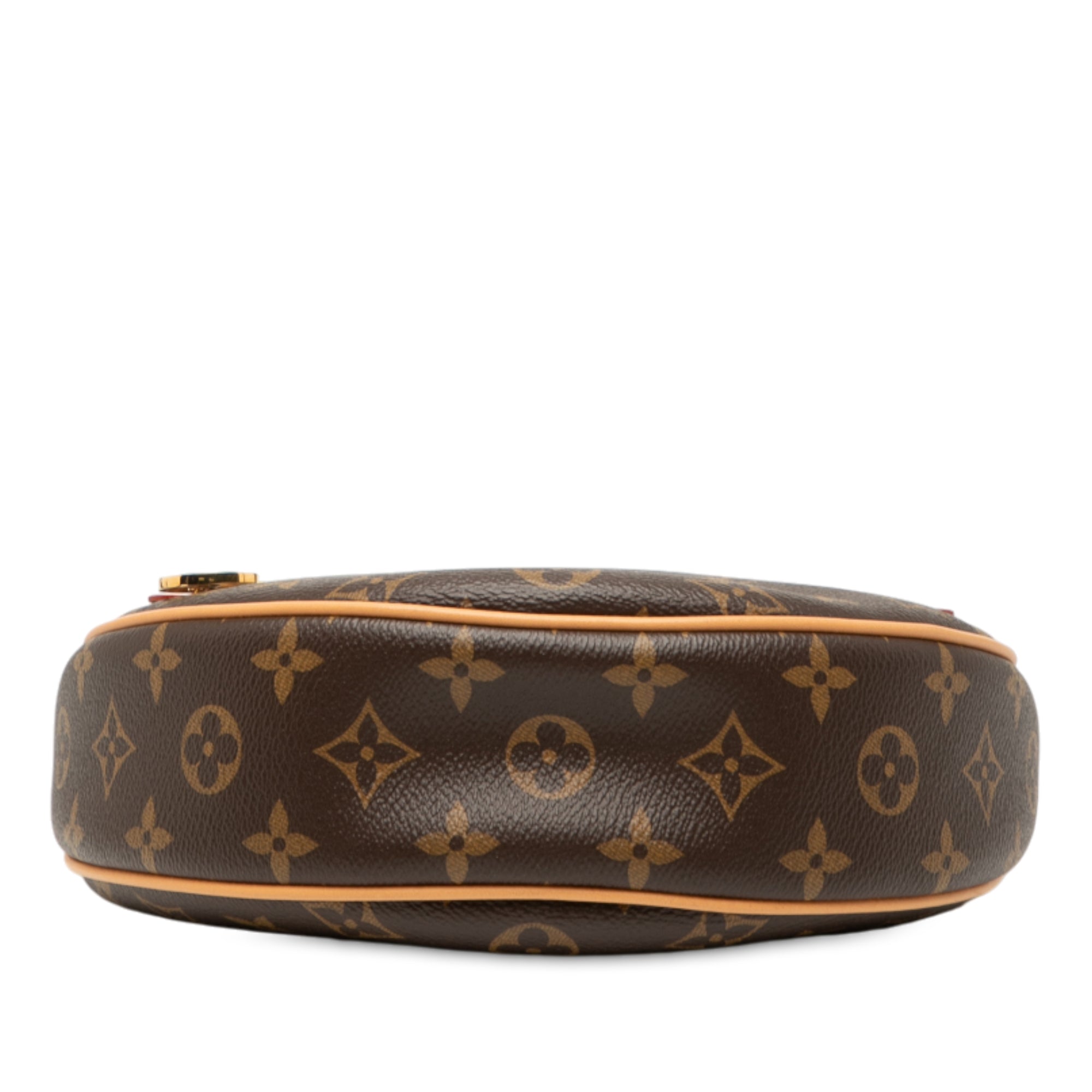 Louis Vuitton Monogram Loop - image 3