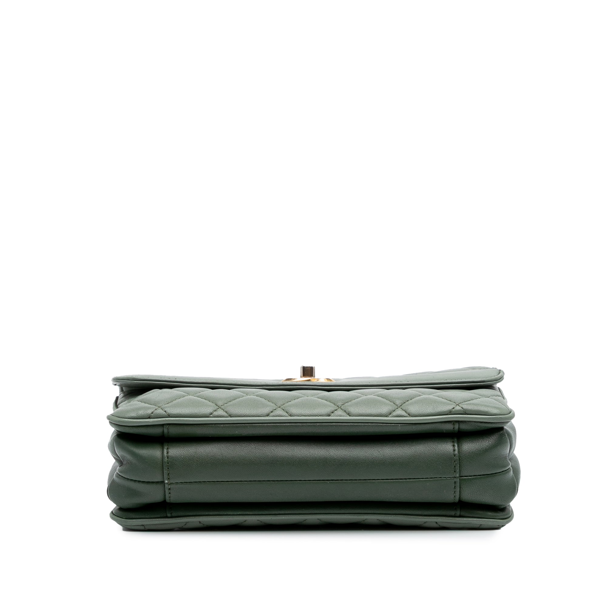 Chanel Medium Quilted Lambskin Daily Companion Flap - image 3