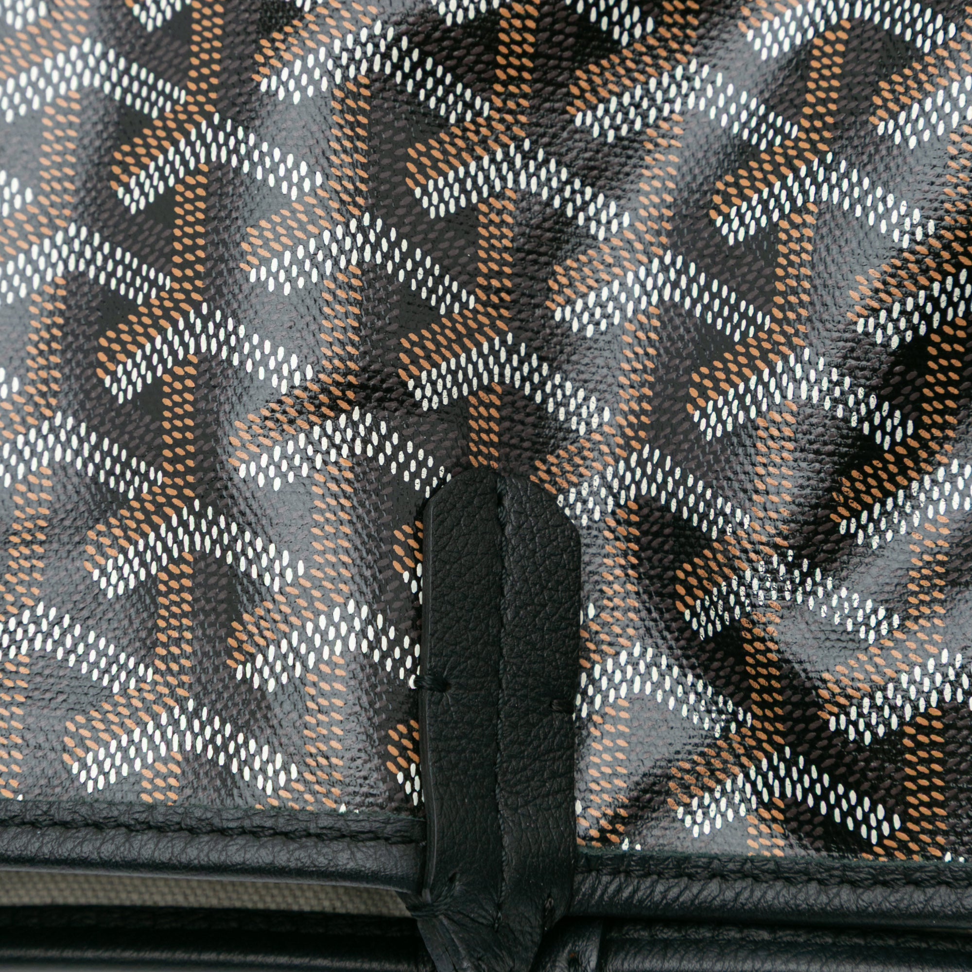 Goyard Goyardine Saint Louis PM - image 8