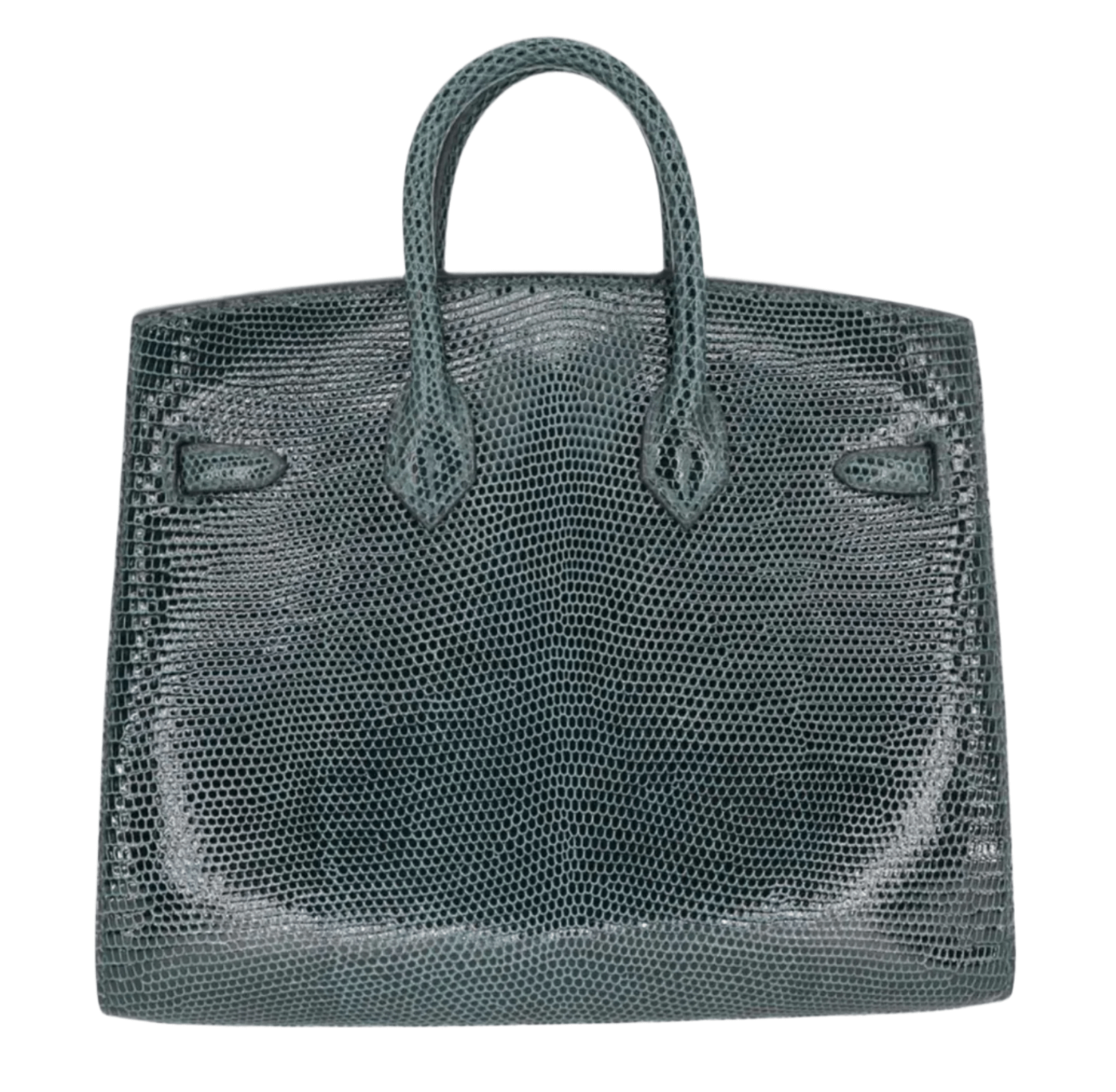 Hermès Birkin 20 in Vert Cypres lizard leather with gold hardware, featuring glossy exotic scales, top handles, and signature flap closure