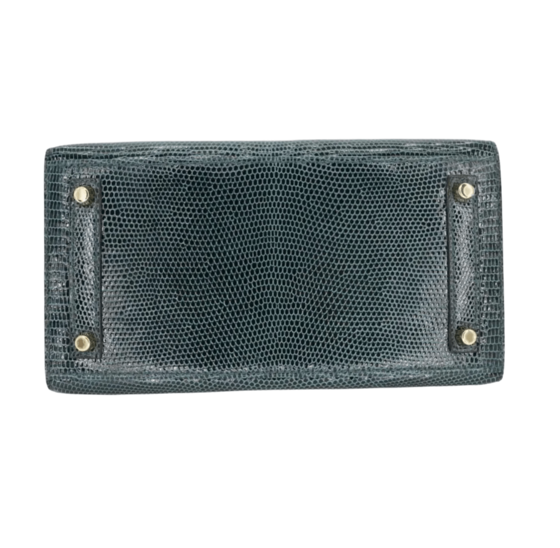 Hermès Birkin 20 in Vert Cypres lizard leather with gold hardware, featuring glossy exotic scales, top handles, and signature flap closure