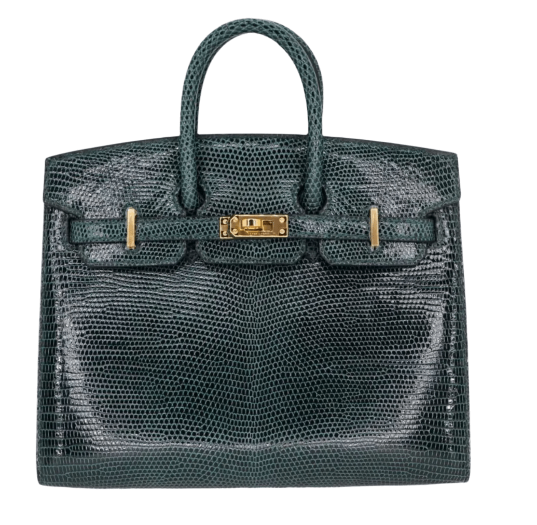 Hermès Birkin 20 in Vert Cypres lizard leather with gold hardware, featuring glossy exotic scales, top handles, and signature flap closure