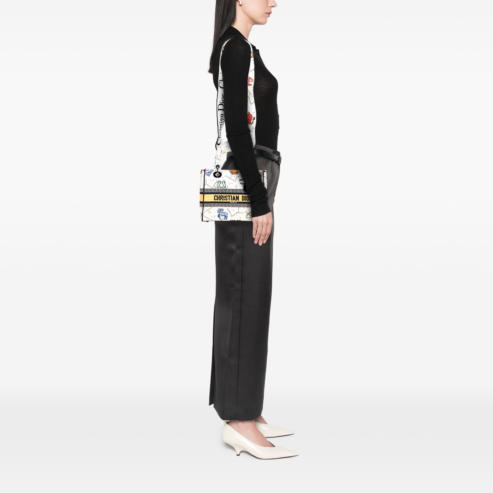 Dior Medium Embroidered Canvas Pixel Zodiac Lady D Lite - image 11