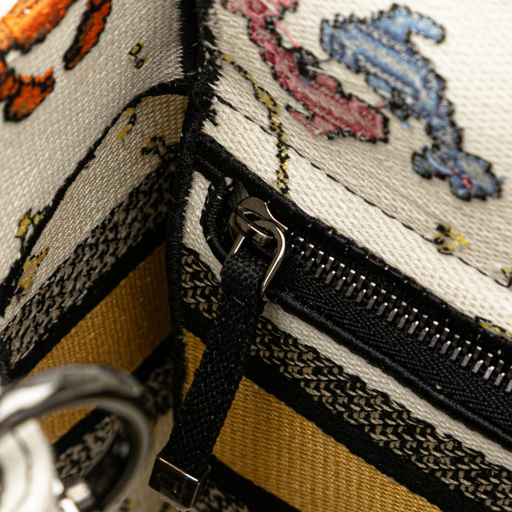 Dior Medium Embroidered Canvas Pixel Zodiac Lady D Lite - image 7