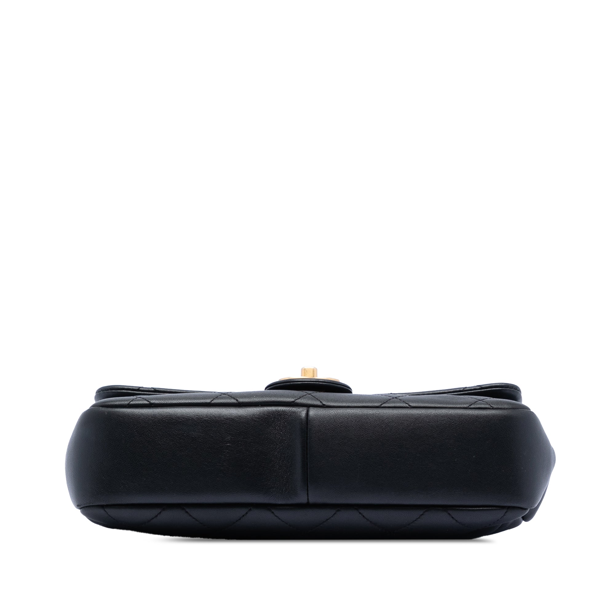 Chanel Medium Lambskin In the Loop Flap - image 3