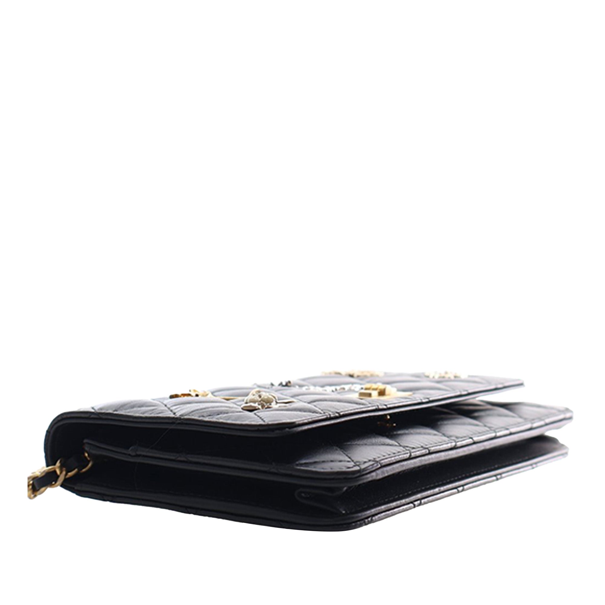 Chanel Quilted Aged Calfskin Reissue 2.55 Lucky Charms Wallet On Chain - image 10