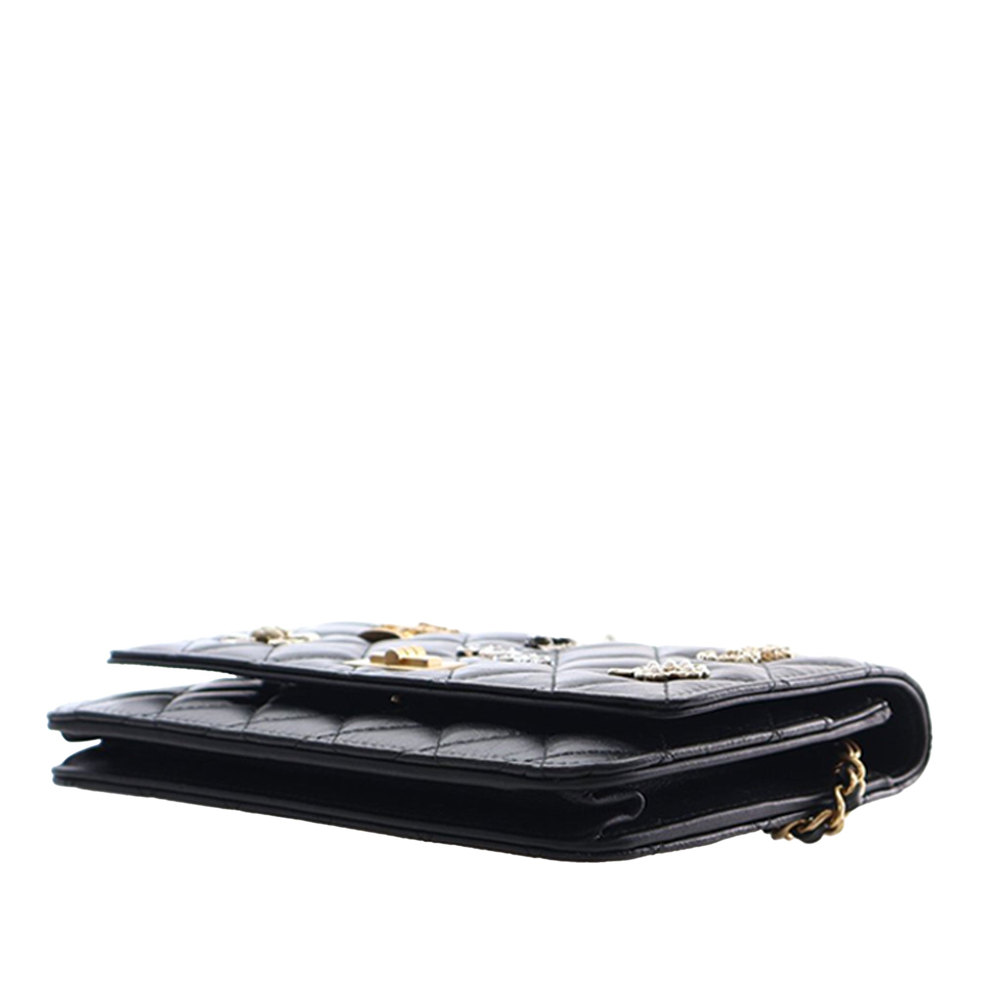 Chanel Quilted Aged Calfskin Reissue 2.55 Lucky Charms Wallet On Chain - image 9