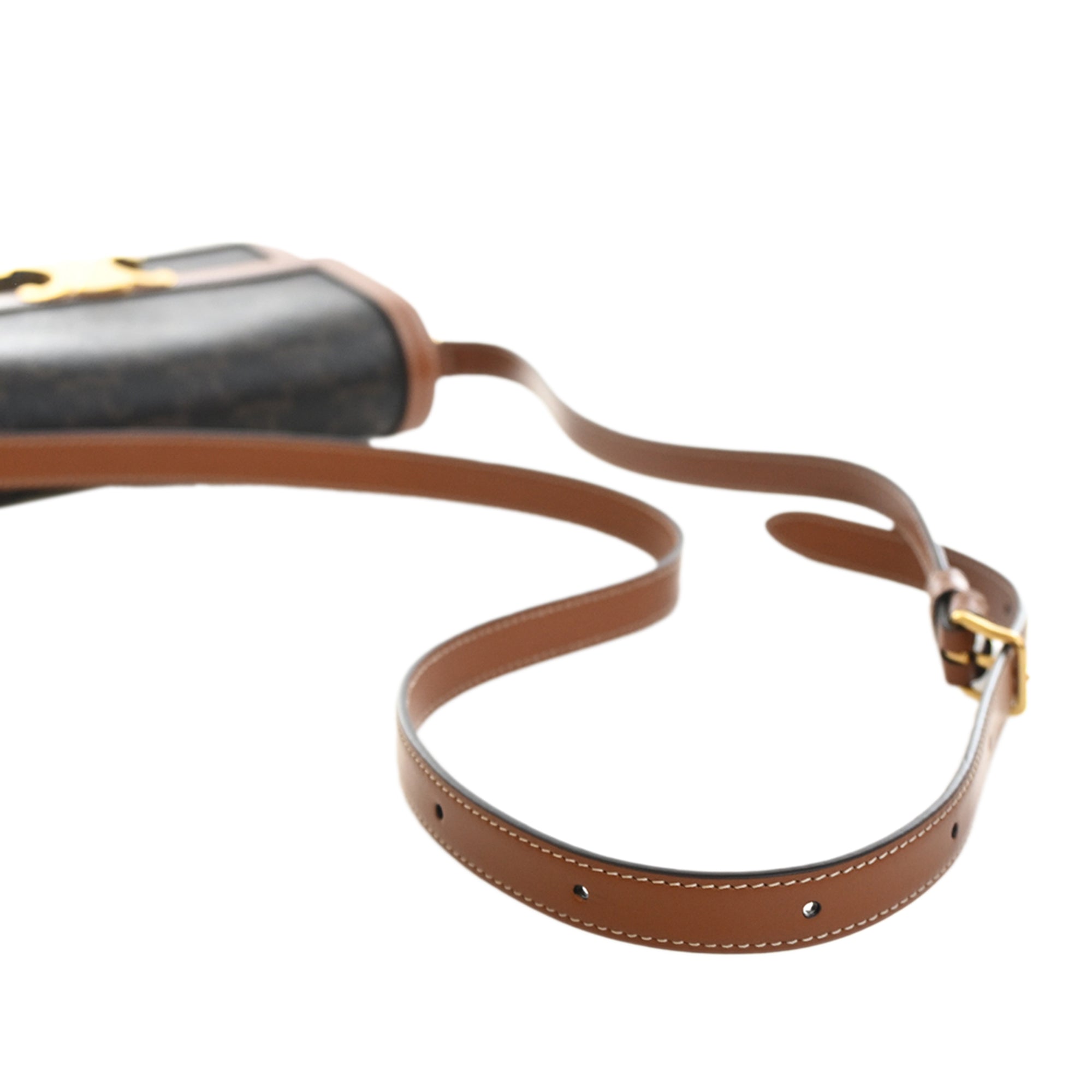 Celine Teen Triomphe Coated Canvas and Calfskin Triomphe Crossbody - image 13