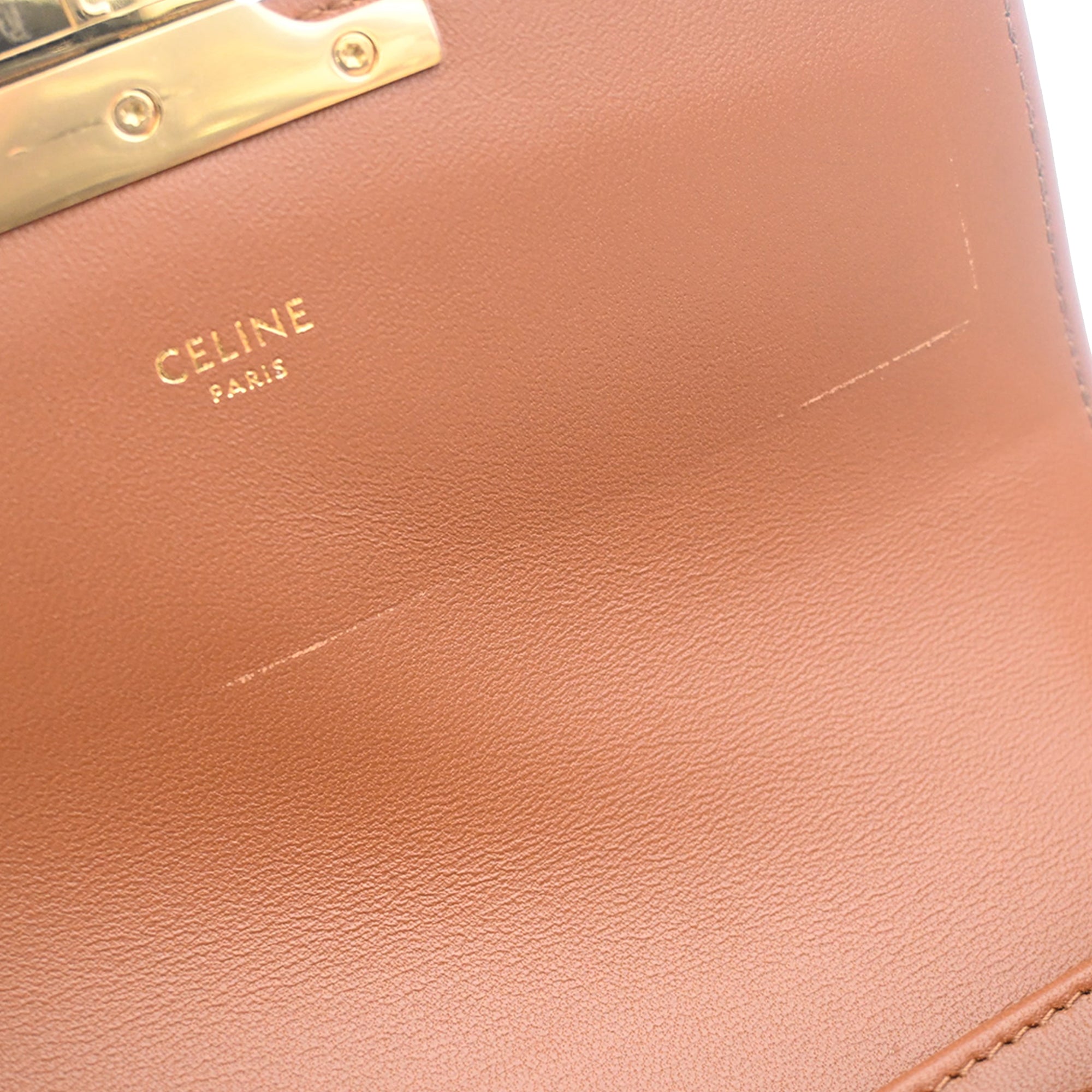Celine Teen Triomphe Coated Canvas and Calfskin Triomphe Crossbody - image 9