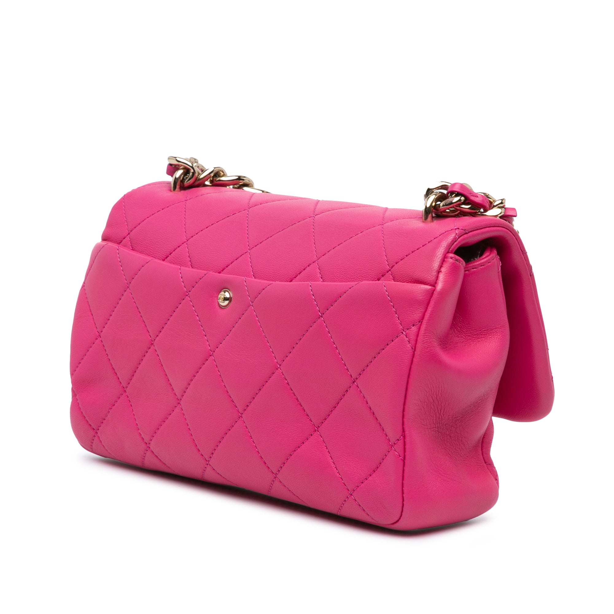 Chanel Small Lambskin Elegant Chain Single Flap - image 2