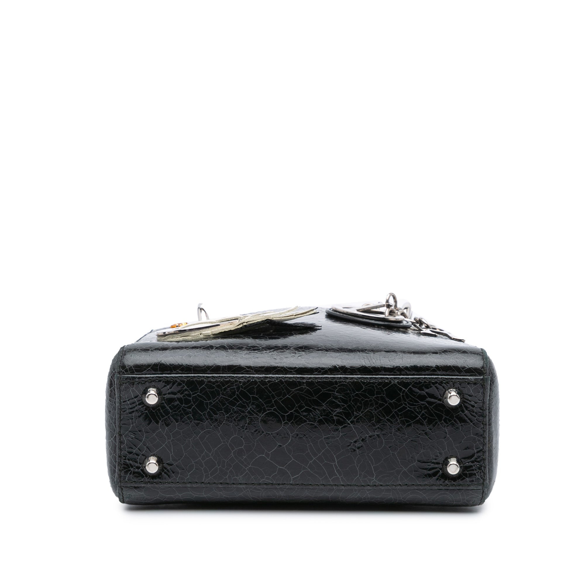 Dior Mini Deerskin Ceramic Effect Jeweled Swan Lady Dior - image 3