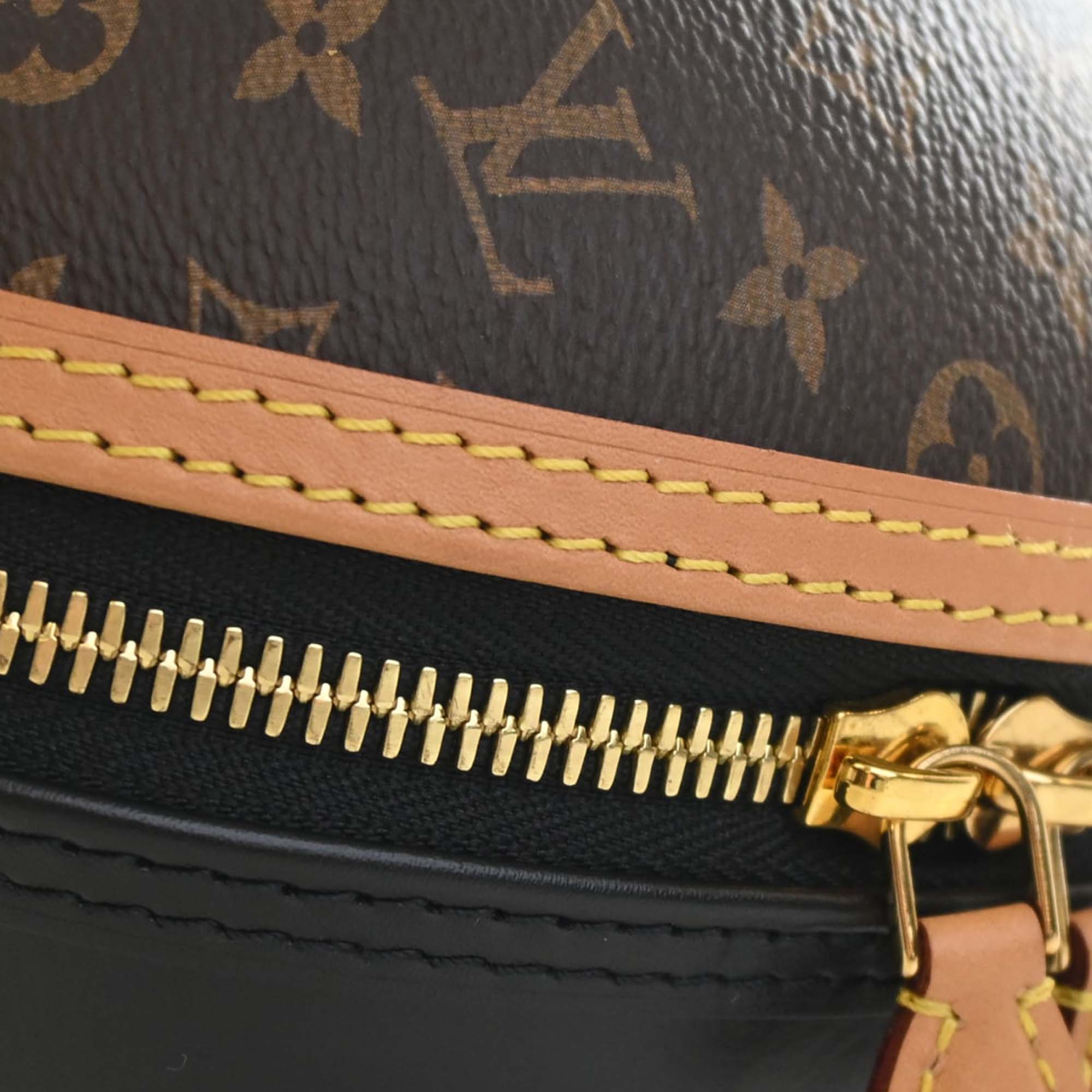 Louis Vuitton Monogram and Calfskin Egg Bag - image 10