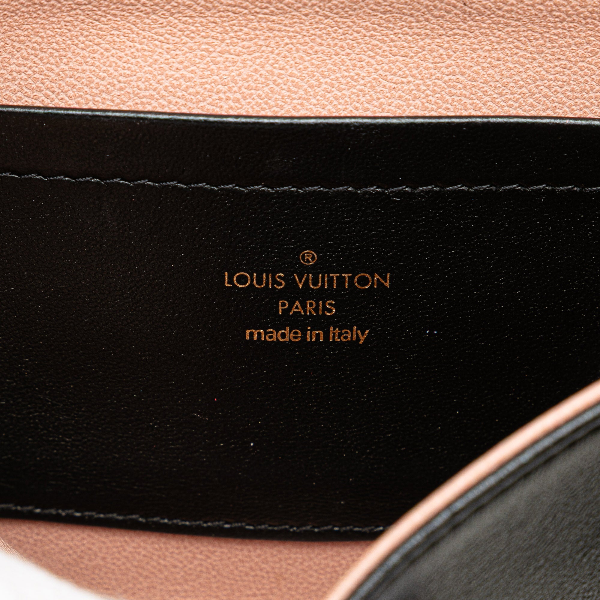 Louis Vuitton Monogram Embossed Pochette Coussin - image 5