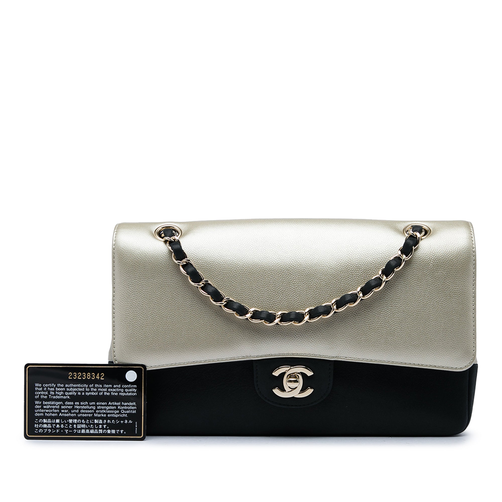 Chanel Medium Classic Bicolor Caviar and Iridescent Calfskin Double Flap - image 6