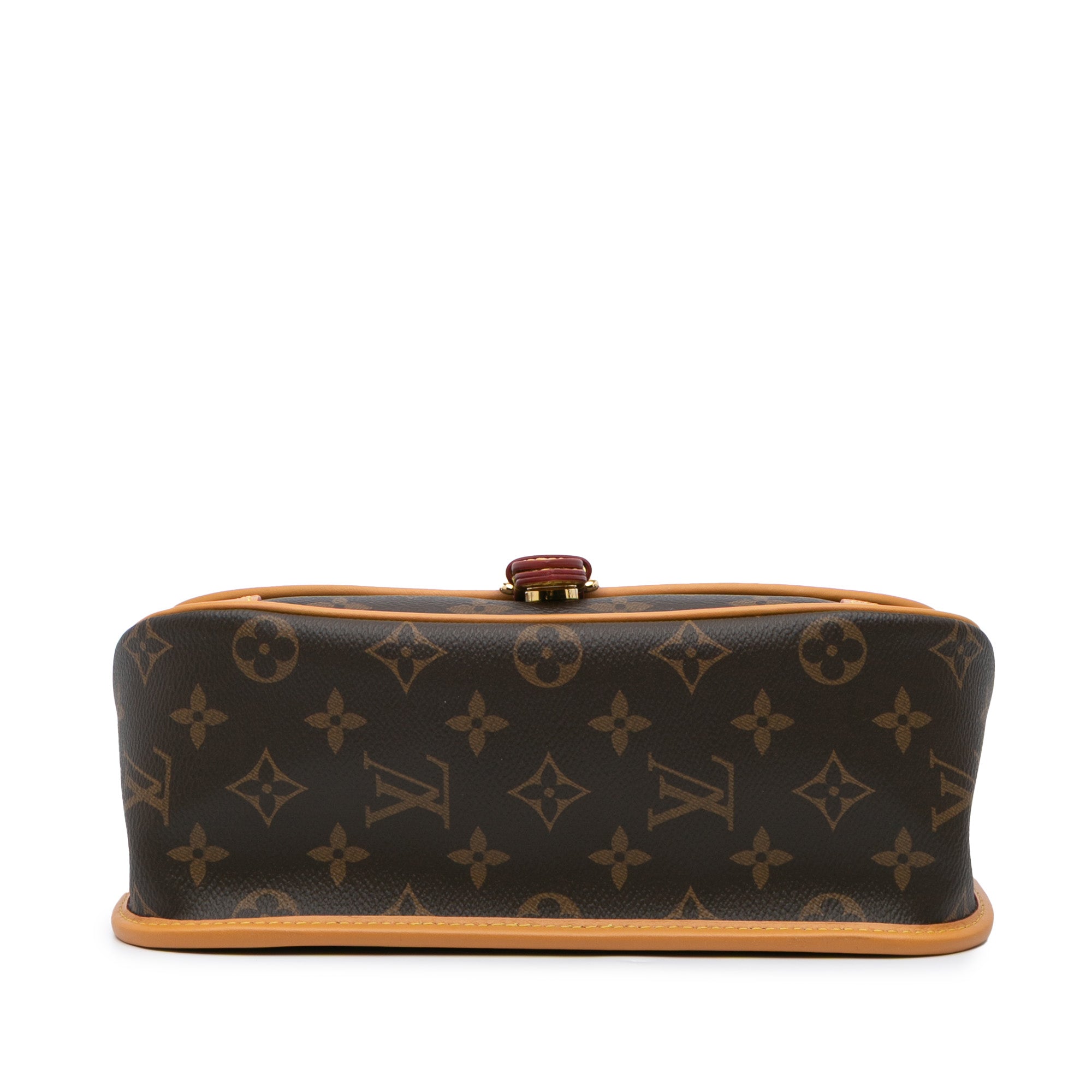 Louis Vuitton Monogram Diane - image 3