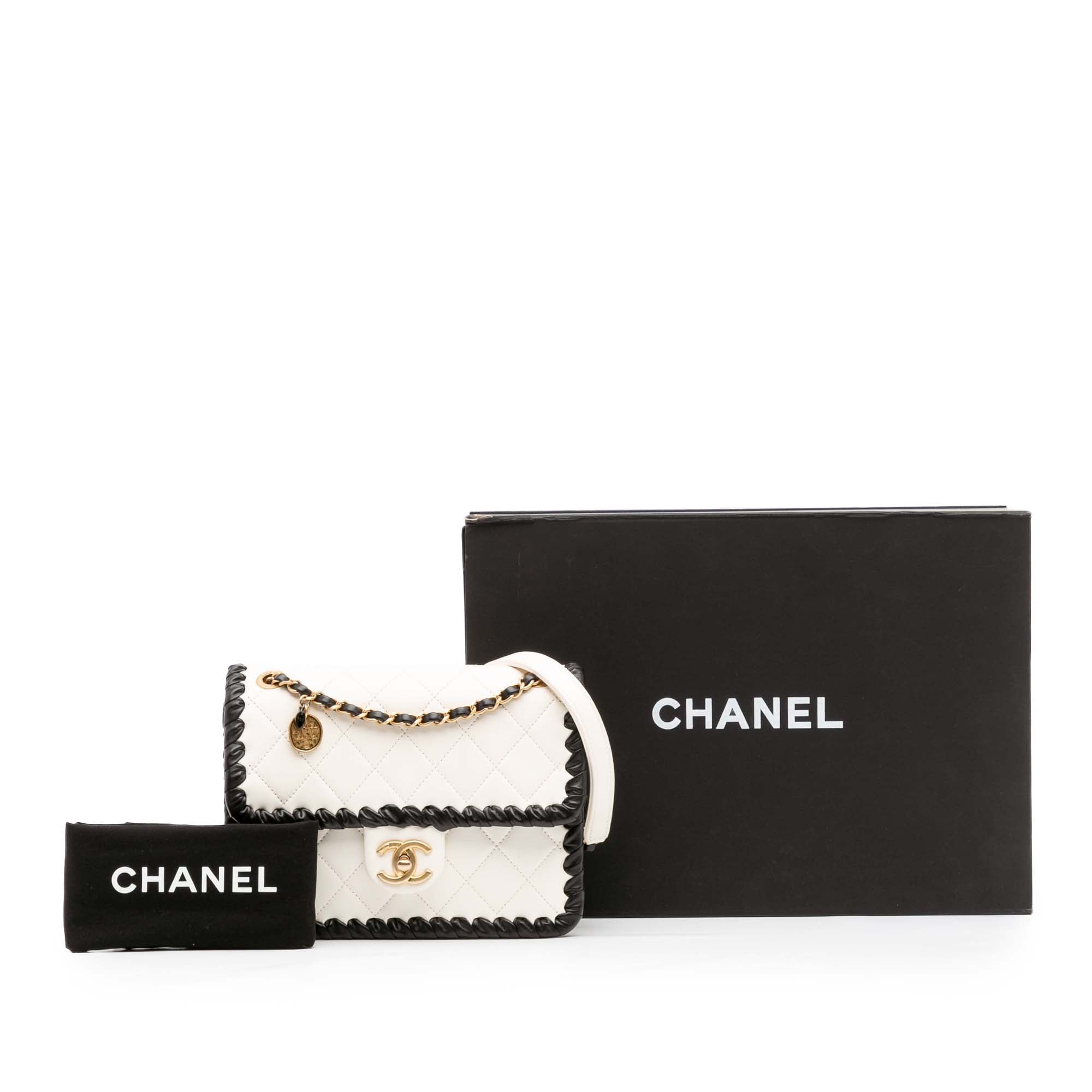 Chanel Small Quilted Calfskin Braided My Own Frame Flap - image 14
